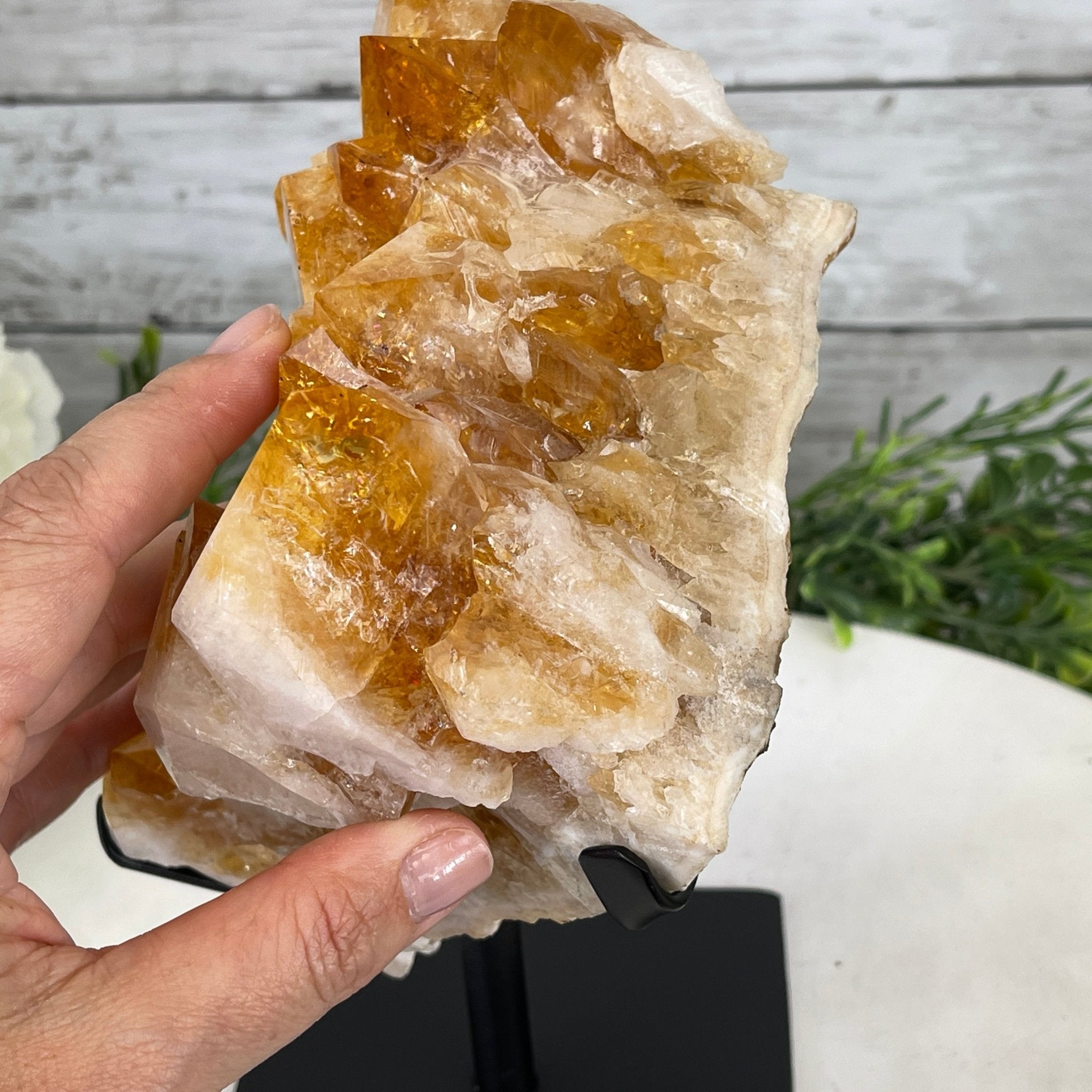 Citrine Cluster from outlet Brazil Gemstone/ Natural Stone