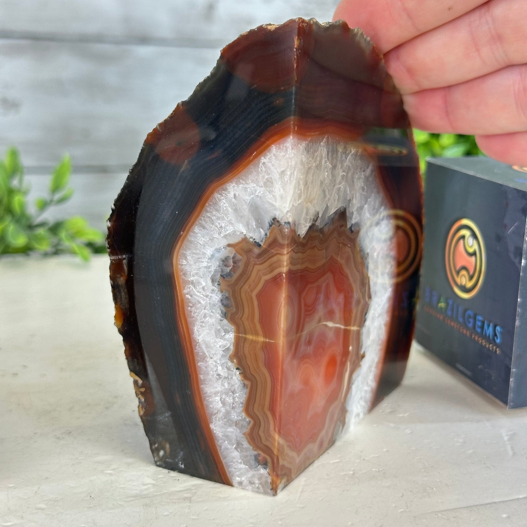 Brazilian Orange Agate Stone Bookends, 3.3 lbs & 4.6" Tall #5151OA - 004 - Brazil GemsBrazil GemsBrazilian Orange Agate Stone Bookends, 3.3 lbs & 4.6" Tall #5151OA - 004Bookends5151OA - 004