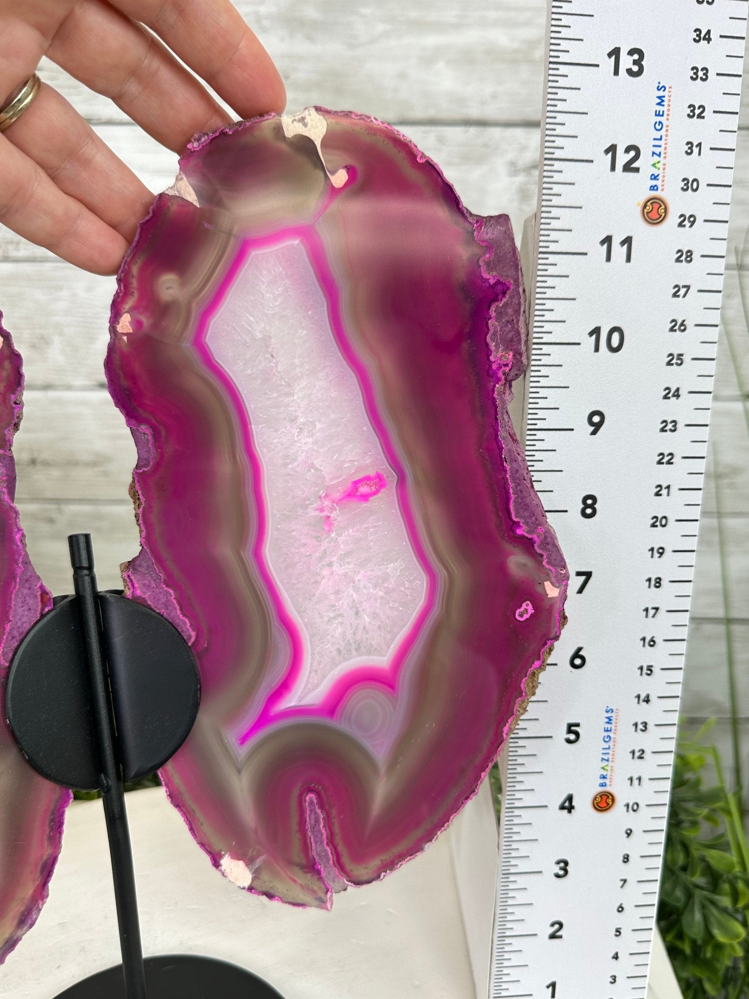 Brazilian Pink Agate "Butterfly Wings", Dyed Pink, 12.8" Tall #5050PA-069 by Brazil Gems - Brazil GemsBrazil GemsBrazilian Pink Agate "Butterfly Wings", Dyed Pink, 12.8" Tall #5050PA-069 by Brazil GemsAgate Butterfly Wings5050PA-069