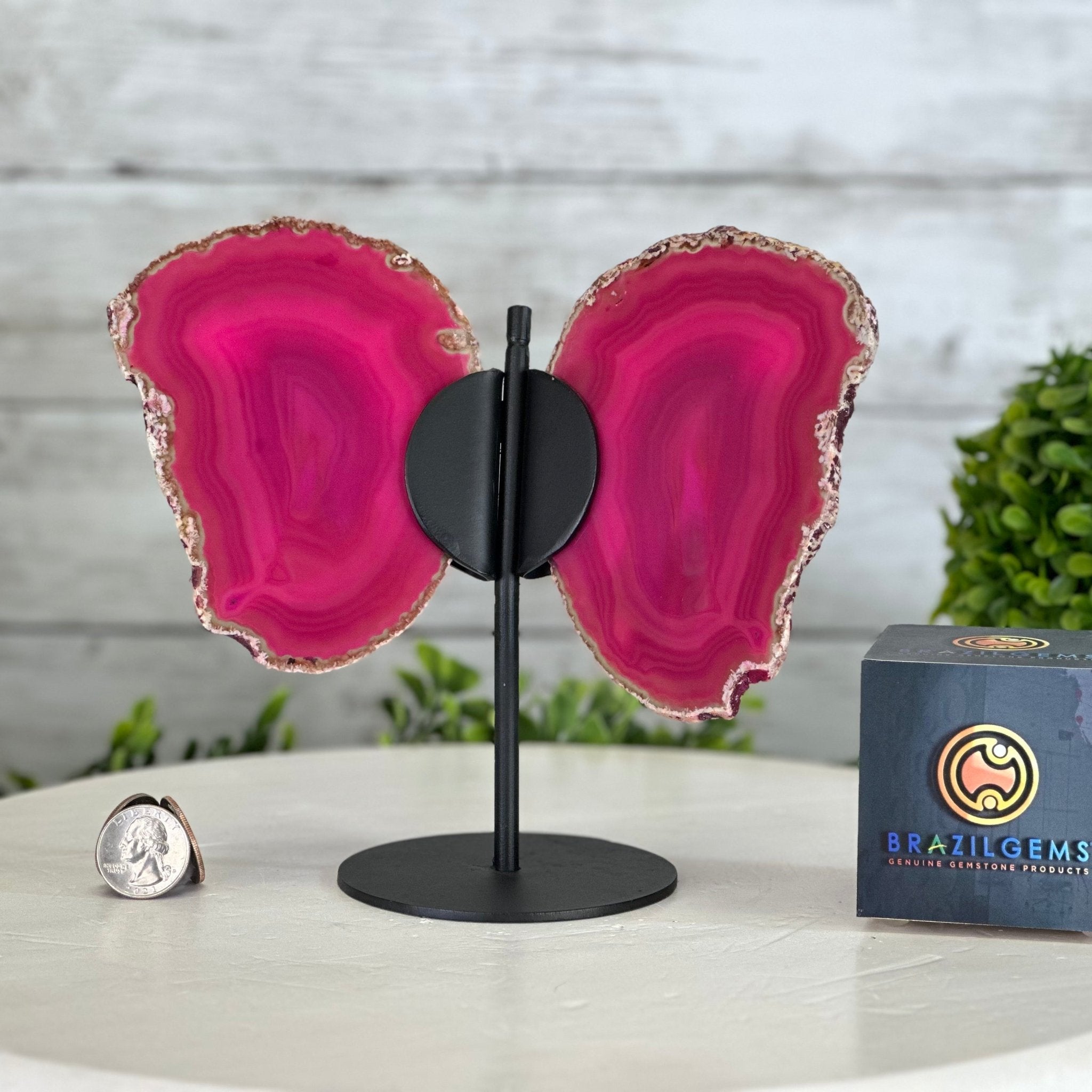 Brazilian Pink Agate "Butterfly Wings", Dyed Pink, 7.25" Tall #5050PA-072 - Brazil GemsBrazil GemsBrazilian Pink Agate "Butterfly Wings", Dyed Pink, 7.25" Tall #5050PA-072Agate Butterfly Wings5050PA-072