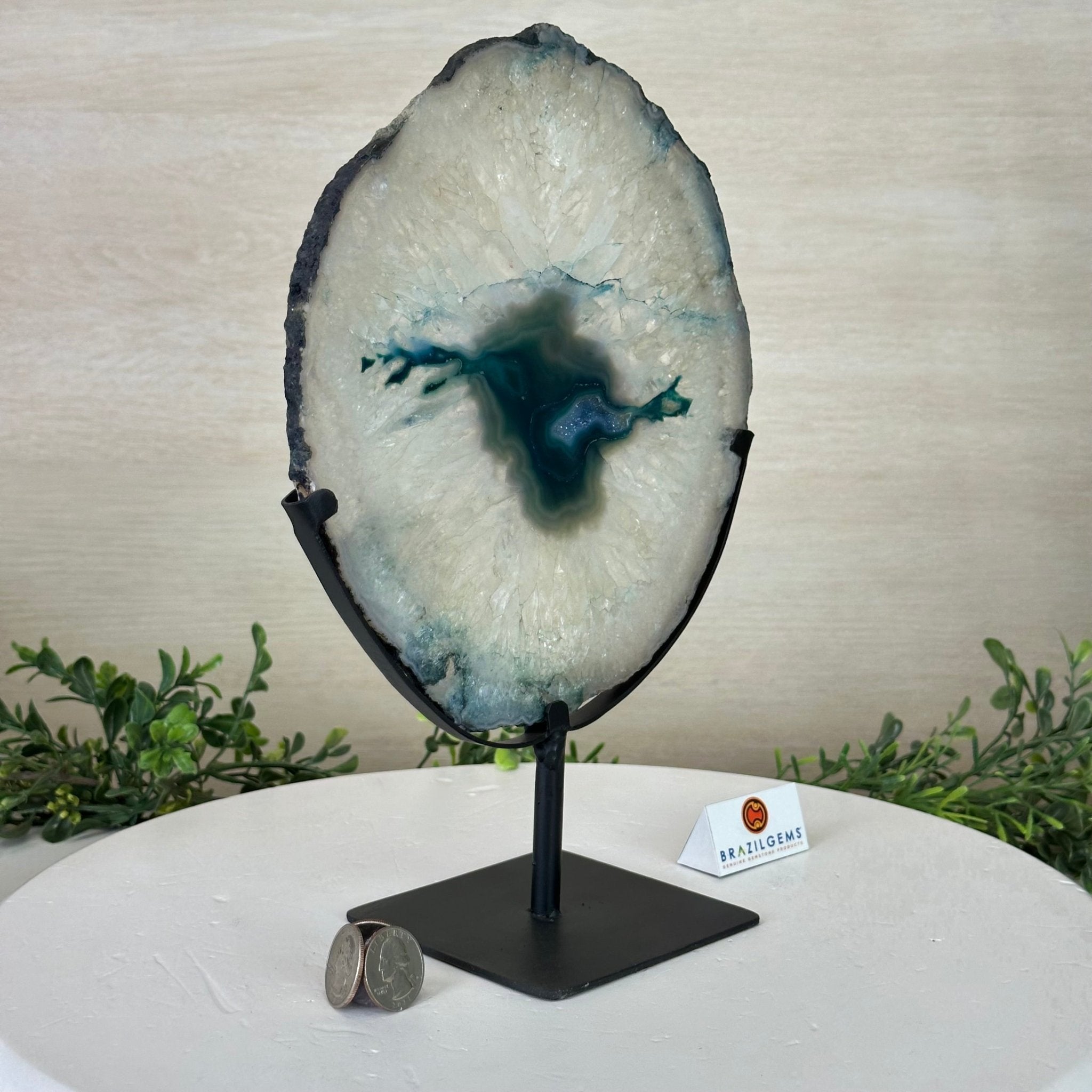 Brazilian Teal Agate Slice on Metal Base, 11.3" Tall #5065TL - 048 - Brazil GemsBrazil GemsBrazilian Teal Agate Slice on Metal Base, 11.3" Tall #5065TL - 048Slices on Fixed Bases5065TL - 048