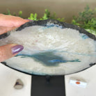 Brazilian Teal Agate Slice on Metal Base, 11.3" Tall #5065TL - 048 - Brazil GemsBrazil GemsBrazilian Teal Agate Slice on Metal Base, 11.3" Tall #5065TL - 048Slices on Fixed Bases5065TL - 048