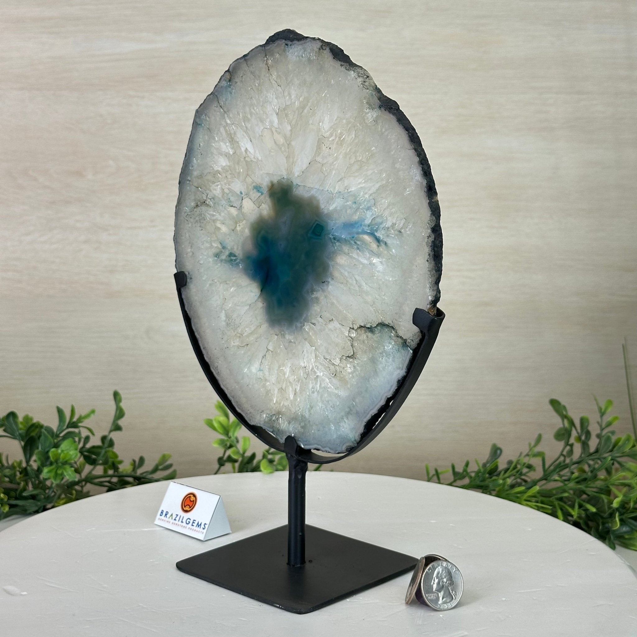 Brazilian Teal Agate Slice on Metal Base, 11.3" Tall #5065TL - 048 - Brazil GemsBrazil GemsBrazilian Teal Agate Slice on Metal Base, 11.3" Tall #5065TL - 048Slices on Fixed Bases5065TL - 048