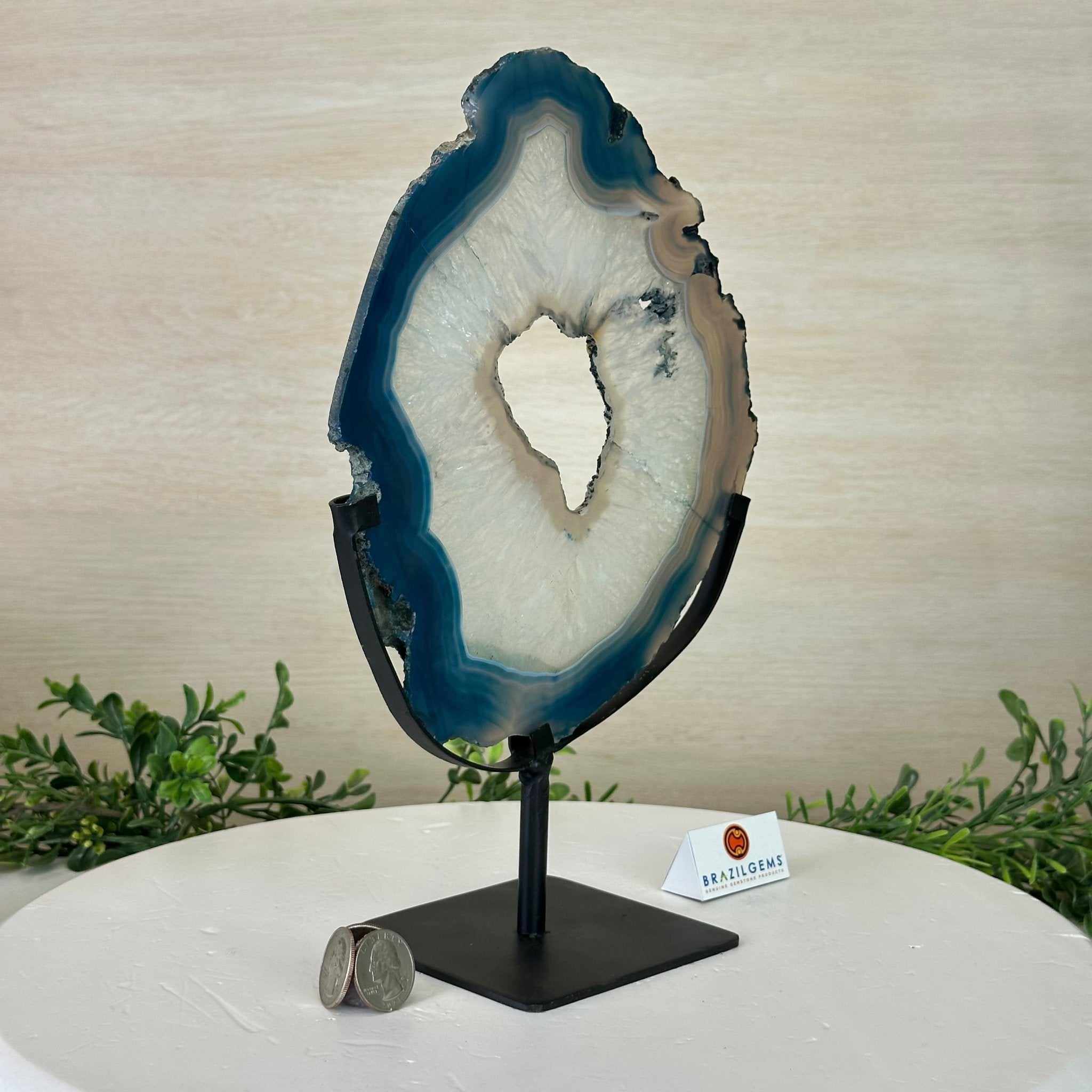 Brazilian Teal Agate Slice on Metal Base, 11.4" Tall #5065TL - 042 - Brazil GemsBrazil GemsBrazilian Teal Agate Slice on Metal Base, 11.4" Tall #5065TL - 042Slices on Fixed Bases5065TL - 042