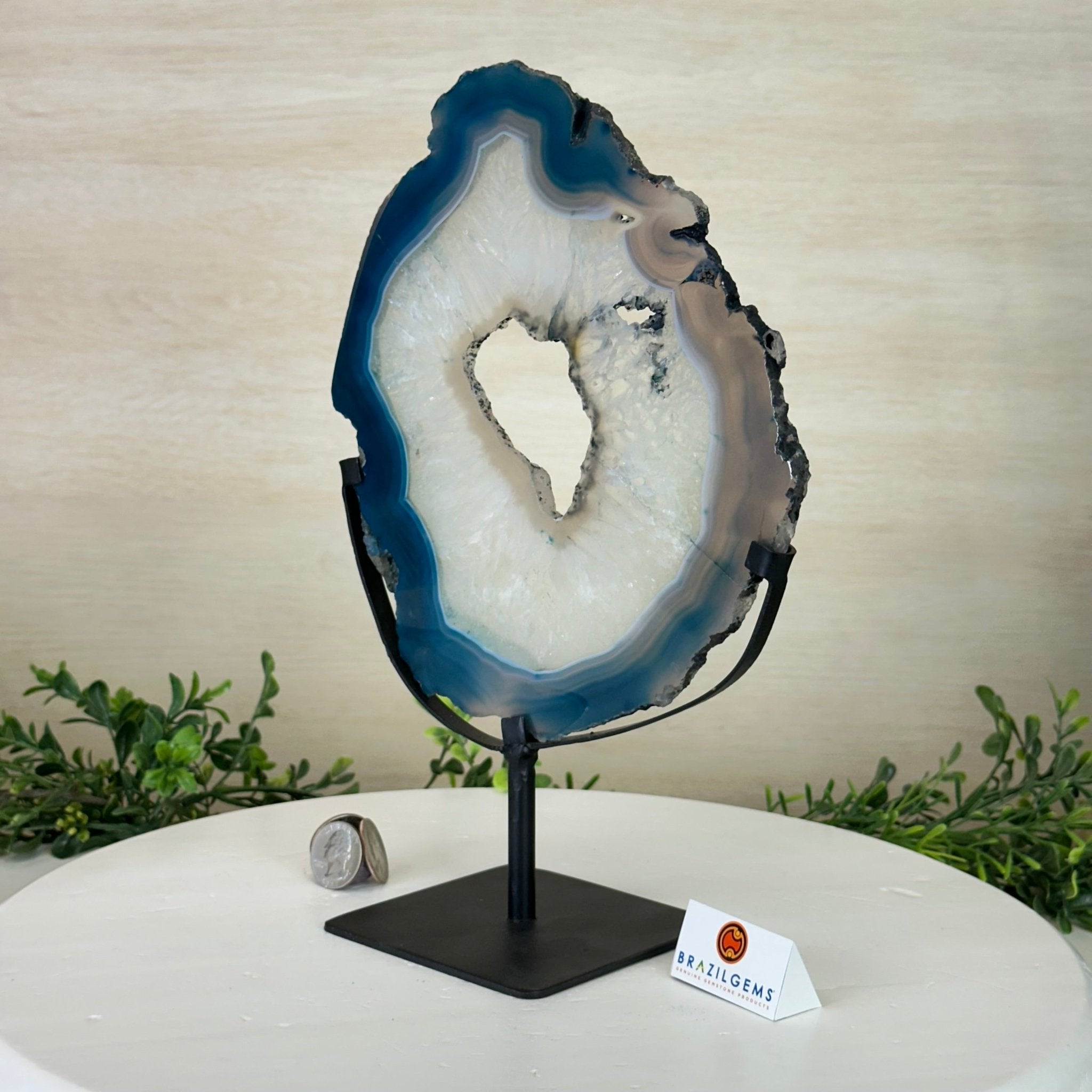 Brazilian Teal Agate Slice on Metal Base, 11.4" Tall #5065TL - 042 - Brazil GemsBrazil GemsBrazilian Teal Agate Slice on Metal Base, 11.4" Tall #5065TL - 042Slices on Fixed Bases5065TL - 042