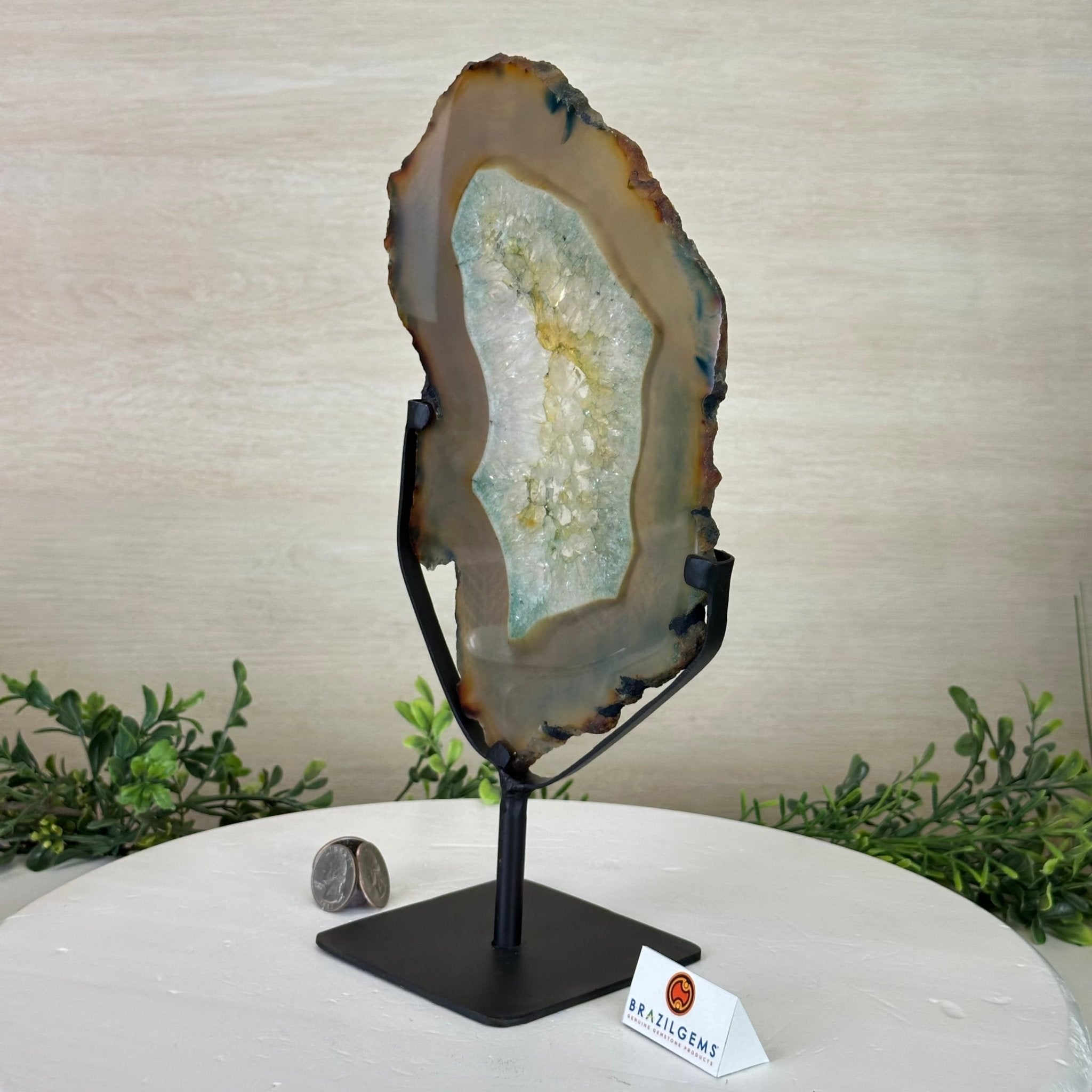 Brazilian Teal Agate Slice on Metal Base, 11.7" Tall #5065TL - 040 - Brazil GemsBrazil GemsBrazilian Teal Agate Slice on Metal Base, 11.7" Tall #5065TL - 040Slices on Fixed Bases5065TL - 040