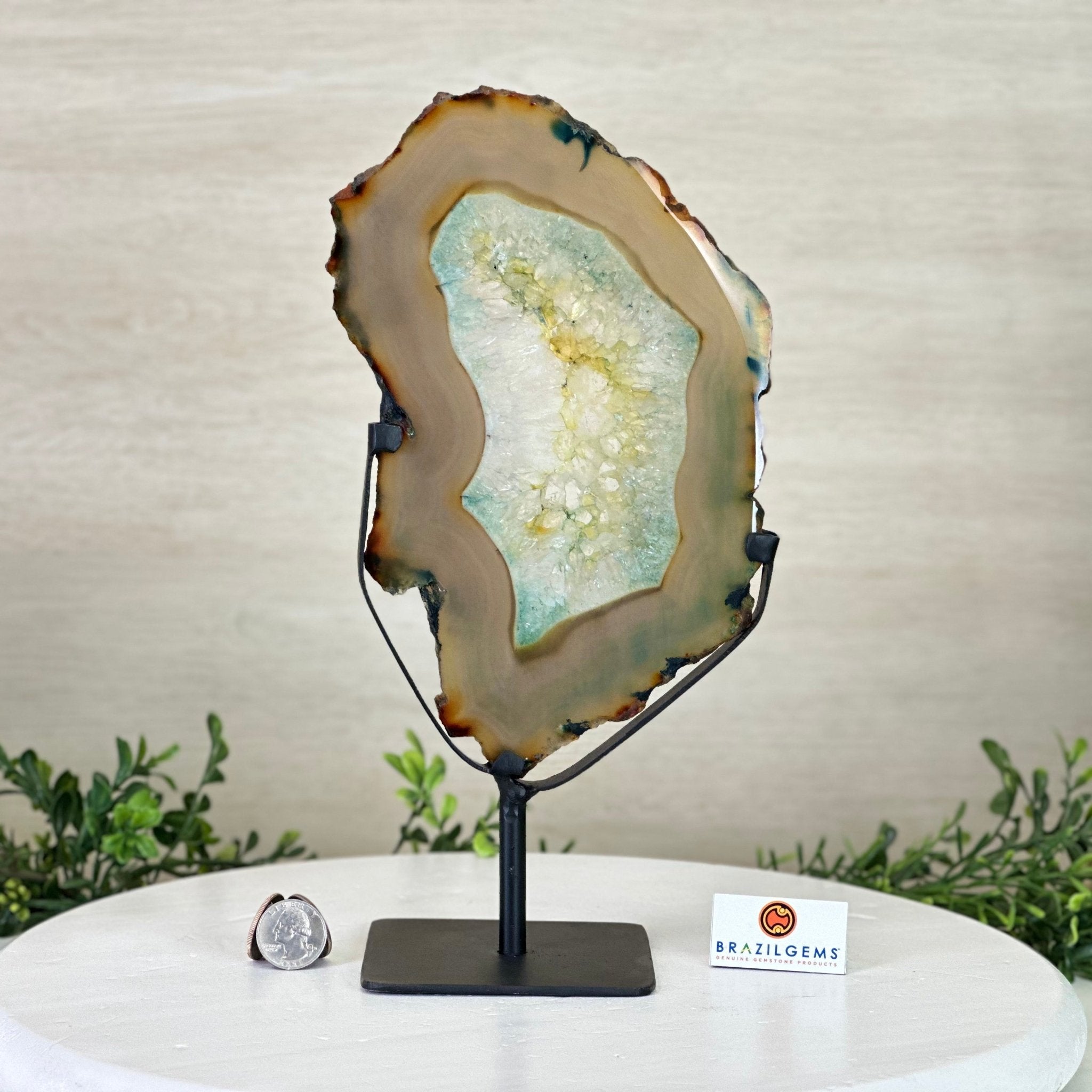 Brazilian Teal Agate Slice on Metal Base, 11.7" Tall #5065TL - 040 - Brazil GemsBrazil GemsBrazilian Teal Agate Slice on Metal Base, 11.7" Tall #5065TL - 040Slices on Fixed Bases5065TL - 040