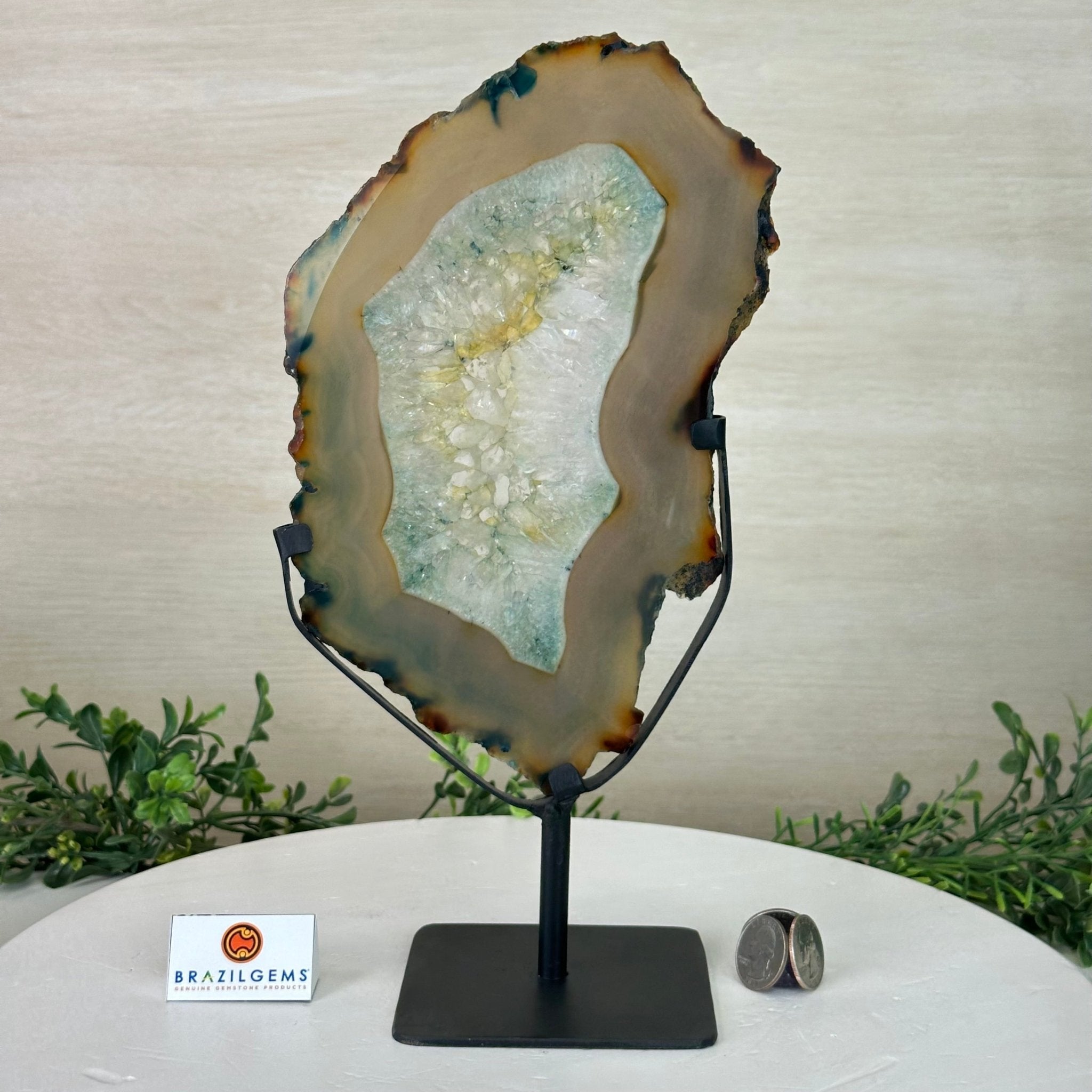 Brazilian Teal Agate Slice on Metal Base, 11.7" Tall #5065TL - 040 - Brazil GemsBrazil GemsBrazilian Teal Agate Slice on Metal Base, 11.7" Tall #5065TL - 040Slices on Fixed Bases5065TL - 040