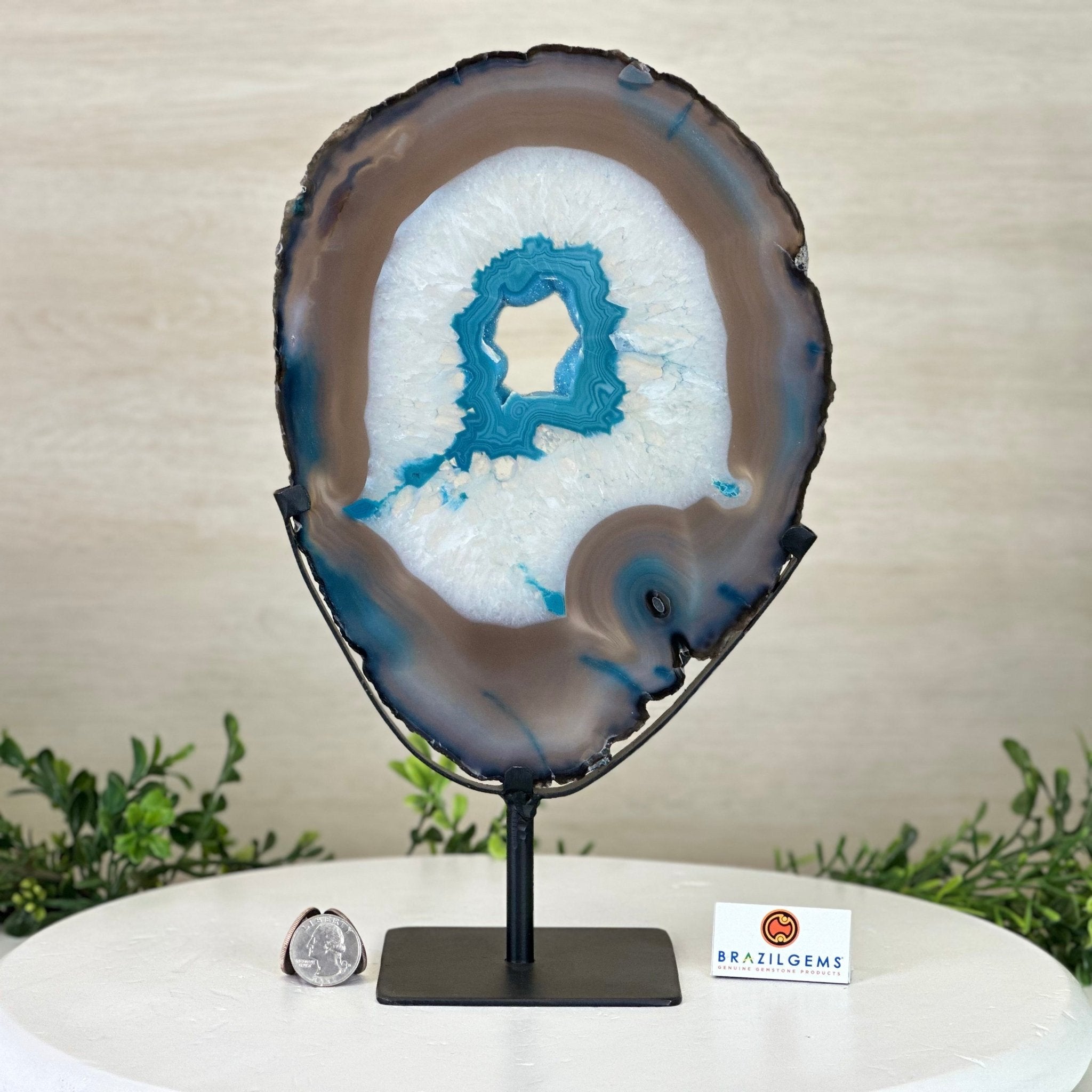 Brazilian Teal Agate Slice on Metal Base, 12.4" Tall #5065TL - 044 - Brazil GemsBrazil GemsBrazilian Teal Agate Slice on Metal Base, 12.4" Tall #5065TL - 044Slices on Fixed Bases5065TL - 044