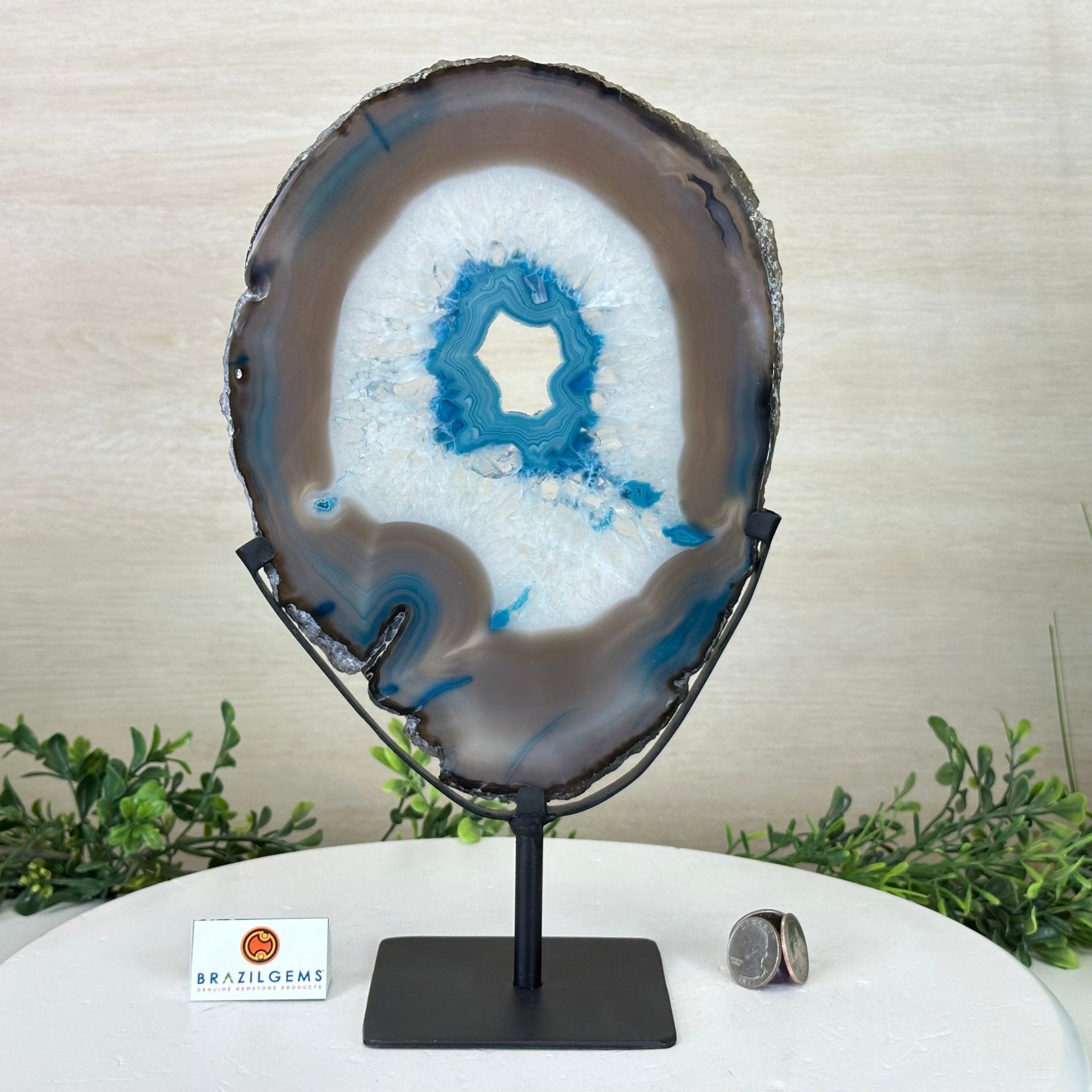 Brazilian Teal Agate Slice on Metal Base, 12.4" Tall #5065TL - 044 - Brazil GemsBrazil GemsBrazilian Teal Agate Slice on Metal Base, 12.4" Tall #5065TL - 044Slices on Fixed Bases5065TL - 044