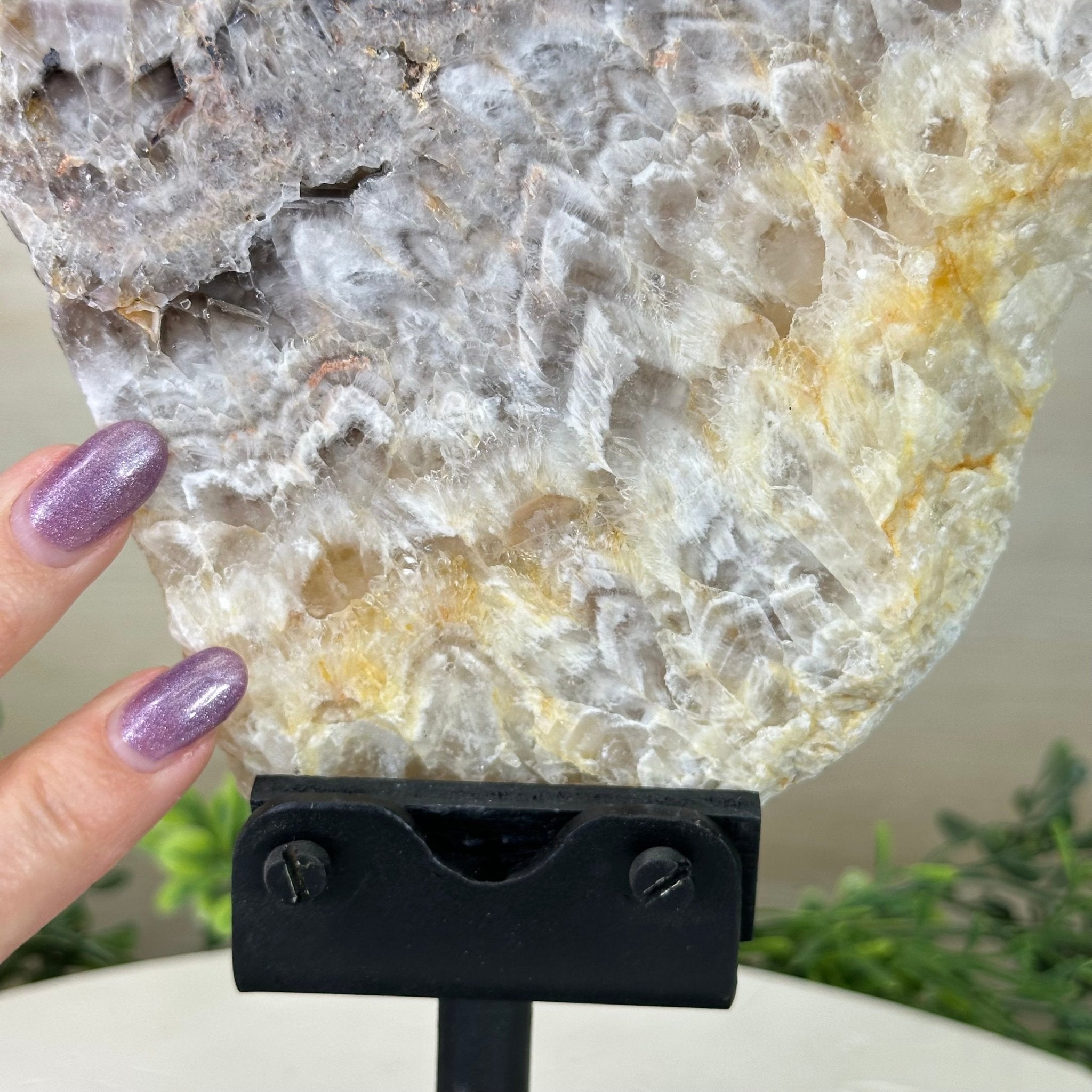 Chevron Amethyst Crystal Slice on a Stand, 4.1 lbs & 11.9" Tall #5621AC - 001 - Brazil GemsBrazil GemsChevron Amethyst Crystal Slice on a Stand, 4.1 lbs & 11.9" Tall #5621AC - 001Slices on Fixed Bases5621AC - 001