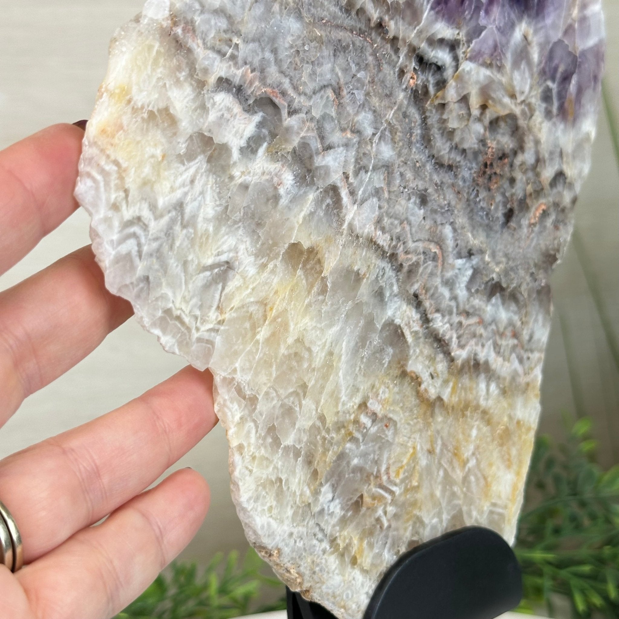 Chevron Amethyst Crystal Slice on a Stand, 4.1 lbs & 11.9" Tall #5621AC - 001 - Brazil GemsBrazil GemsChevron Amethyst Crystal Slice on a Stand, 4.1 lbs & 11.9" Tall #5621AC - 001Slices on Fixed Bases5621AC - 001