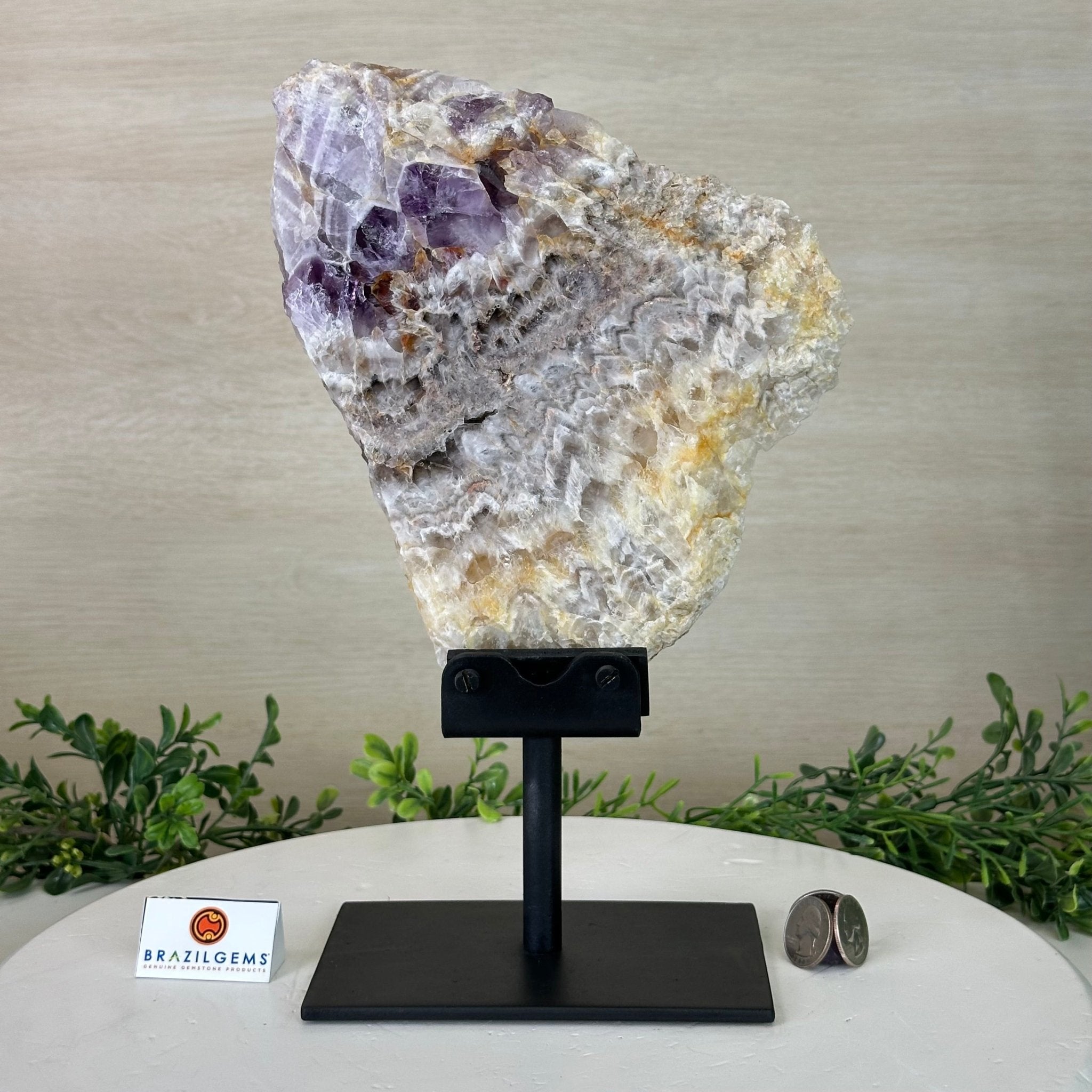 Chevron Amethyst Crystal Slice on a Stand, 4.1 lbs & 11.9" Tall #5621AC - 001 - Brazil GemsBrazil GemsChevron Amethyst Crystal Slice on a Stand, 4.1 lbs & 11.9" Tall #5621AC - 001Slices on Fixed Bases5621AC - 001