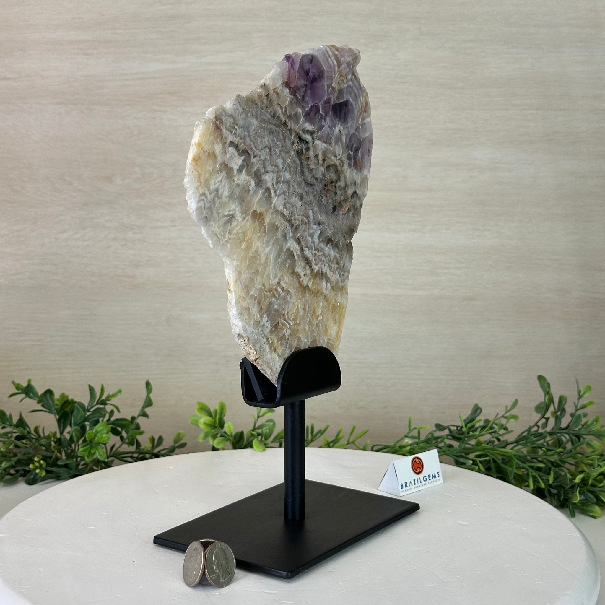 Chevron Amethyst Crystal Slice on a Stand, 4.1 lbs & 11.9" Tall #5621AC - 001 - Brazil GemsBrazil GemsChevron Amethyst Crystal Slice on a Stand, 4.1 lbs & 11.9" Tall #5621AC - 001Slices on Fixed Bases5621AC - 001