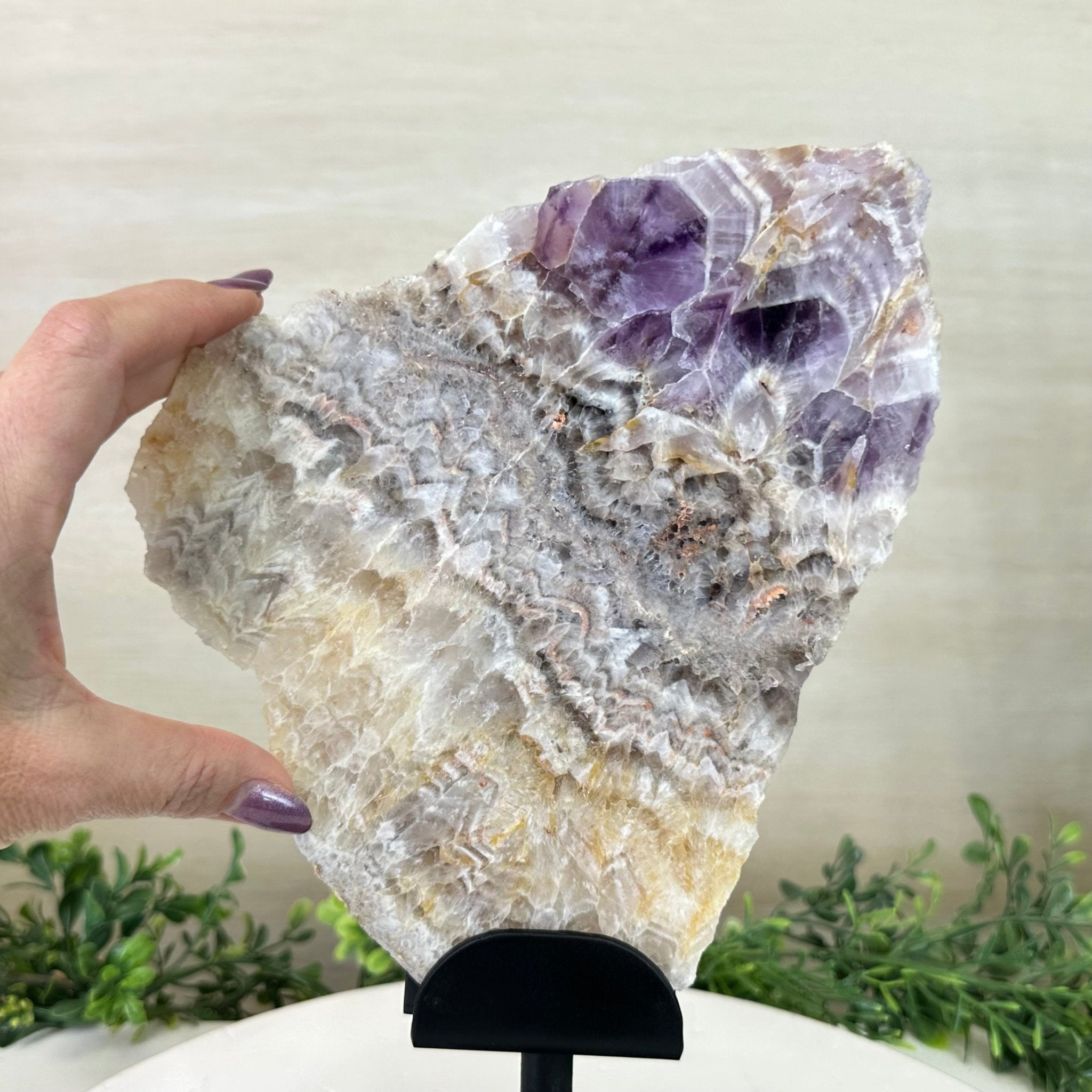 Chevron Amethyst Crystal Slice on a Stand, 4.1 lbs & 11.9" Tall #5621AC - 001 - Brazil GemsBrazil GemsChevron Amethyst Crystal Slice on a Stand, 4.1 lbs & 11.9" Tall #5621AC - 001Slices on Fixed Bases5621AC - 001