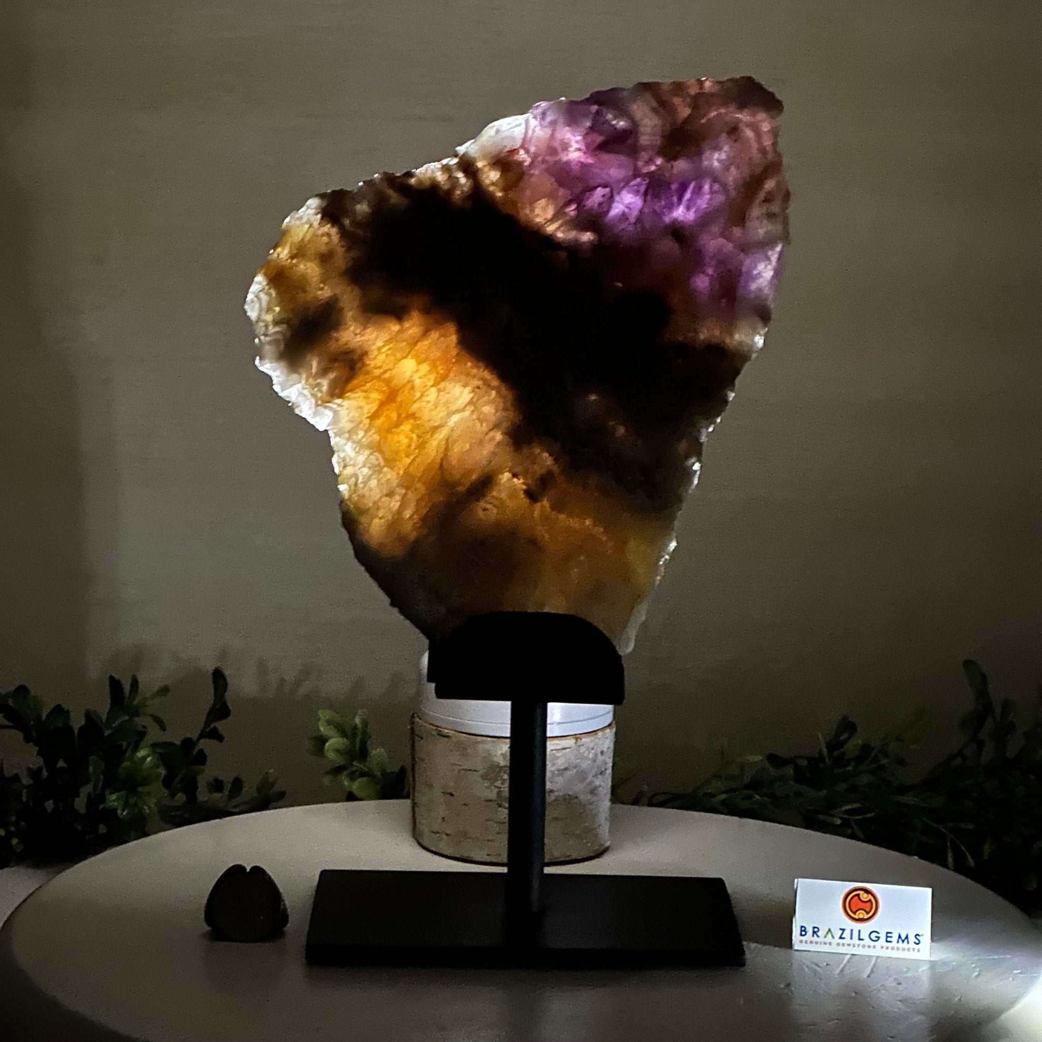 Chevron Amethyst Crystal Slice on a Stand, 4.1 lbs & 11.9" Tall #5621AC - 001 - Brazil GemsBrazil GemsChevron Amethyst Crystal Slice on a Stand, 4.1 lbs & 11.9" Tall #5621AC - 001Slices on Fixed Bases5621AC - 001