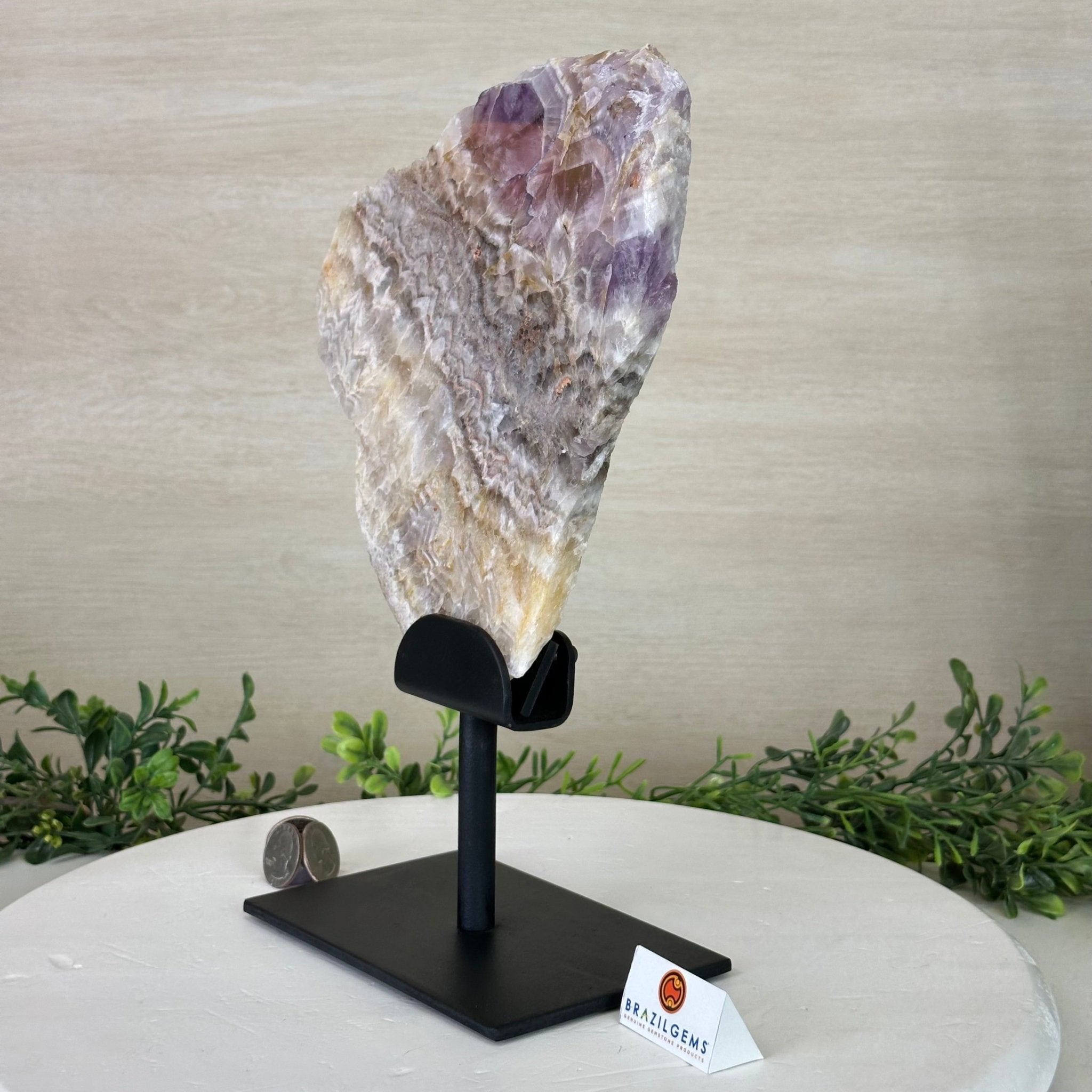 Chevron Amethyst Crystal Slice on a Stand, 4.1 lbs & 11.9" Tall #5621AC - 001 - Brazil GemsBrazil GemsChevron Amethyst Crystal Slice on a Stand, 4.1 lbs & 11.9" Tall #5621AC - 001Slices on Fixed Bases5621AC - 001