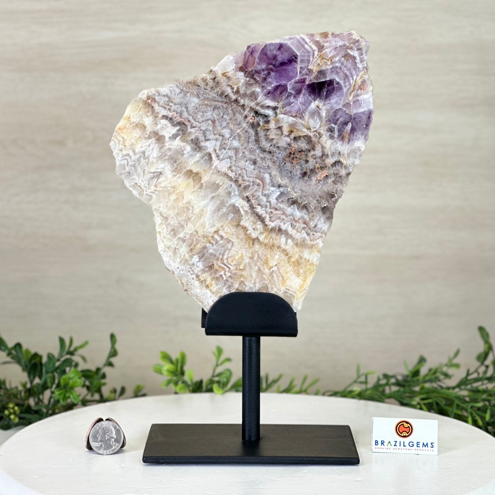 Chevron Amethyst Crystal Slice on a Stand, 4.1 lbs & 11.9" Tall #5621AC - 001 - Brazil GemsBrazil GemsChevron Amethyst Crystal Slice on a Stand, 4.1 lbs & 11.9" Tall #5621AC - 001Slices on Fixed Bases5621AC - 001