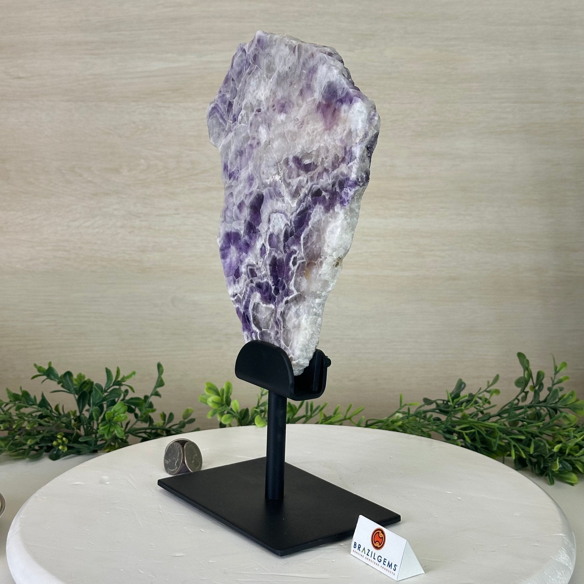 Chevron Amethyst Crystal Slice on a Stand, 4.1 lbs & 12.5" Tall #5621AC - 002 - Brazil GemsBrazil GemsChevron Amethyst Crystal Slice on a Stand, 4.1 lbs & 12.5" Tall #5621AC - 002Slices on Fixed Bases5621AC - 002