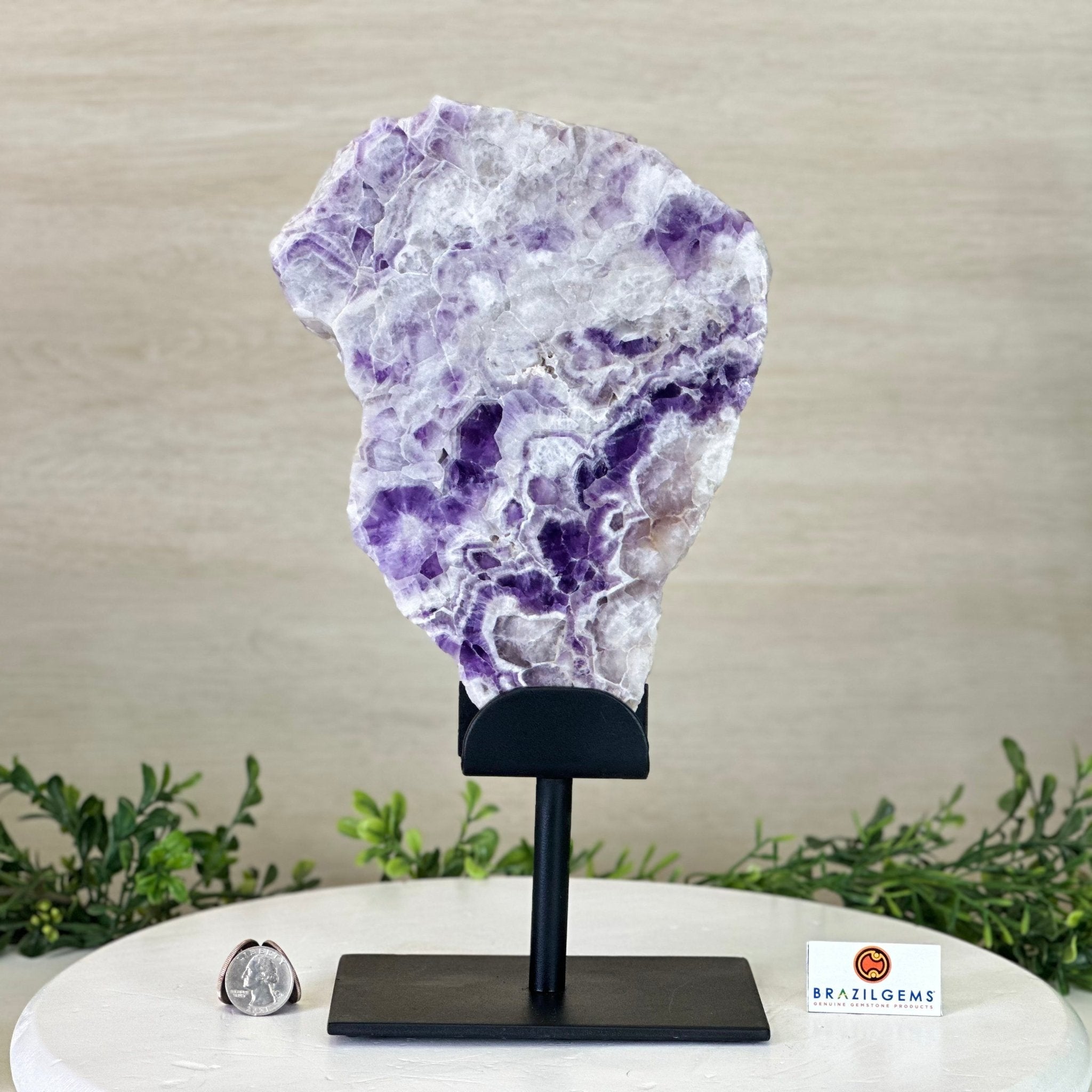 Chevron Amethyst Crystal Slice on a Stand, 4.1 lbs & 12.5" Tall #5621AC - 002 - Brazil GemsBrazil GemsChevron Amethyst Crystal Slice on a Stand, 4.1 lbs & 12.5" Tall #5621AC - 002Slices on Fixed Bases5621AC - 002