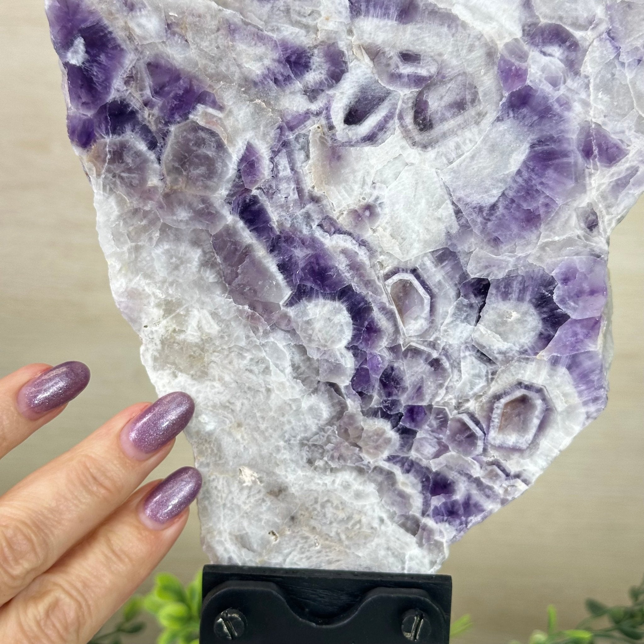 Chevron Amethyst Crystal Slice on a Stand, 4.1 lbs & 12.5" Tall #5621AC - 002 - Brazil GemsBrazil GemsChevron Amethyst Crystal Slice on a Stand, 4.1 lbs & 12.5" Tall #5621AC - 002Slices on Fixed Bases5621AC - 002