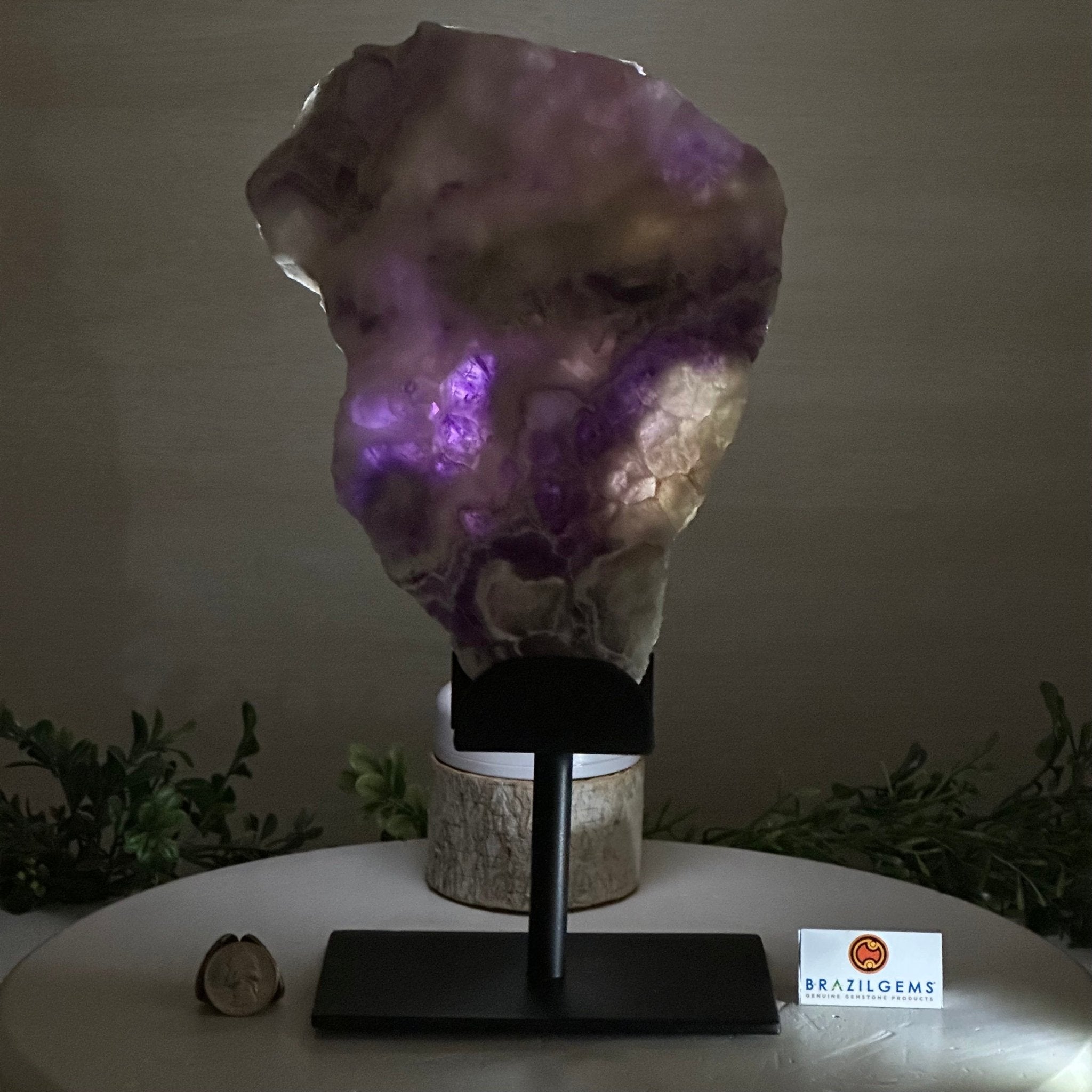 Chevron Amethyst Crystal Slice on a Stand, 4.1 lbs & 12.5" Tall #5621AC - 002 - Brazil GemsBrazil GemsChevron Amethyst Crystal Slice on a Stand, 4.1 lbs & 12.5" Tall #5621AC - 002Slices on Fixed Bases5621AC - 002