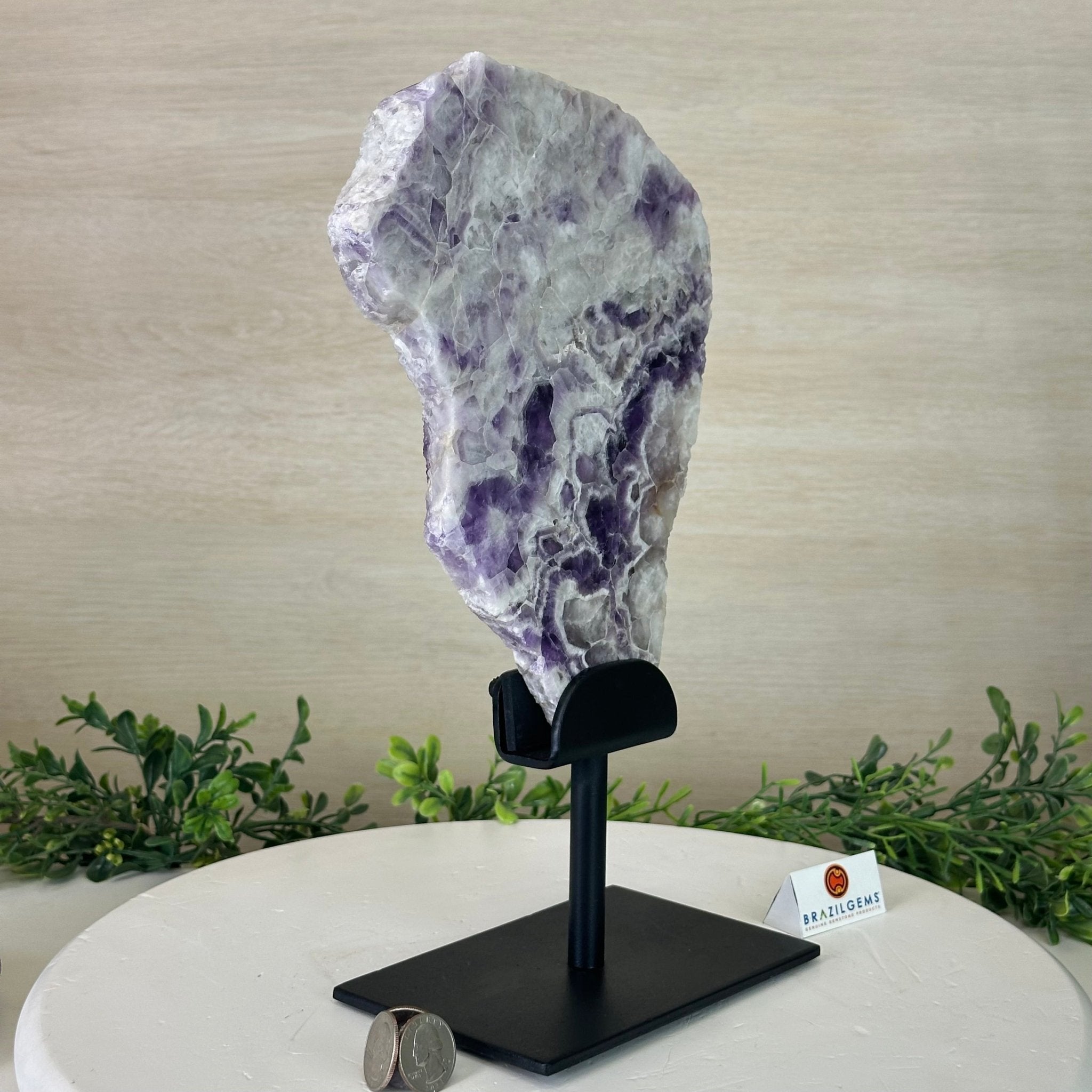 Chevron Amethyst Crystal Slice on a Stand, 4.1 lbs & 12.5" Tall #5621AC - 002 - Brazil GemsBrazil GemsChevron Amethyst Crystal Slice on a Stand, 4.1 lbs & 12.5" Tall #5621AC - 002Slices on Fixed Bases5621AC - 002