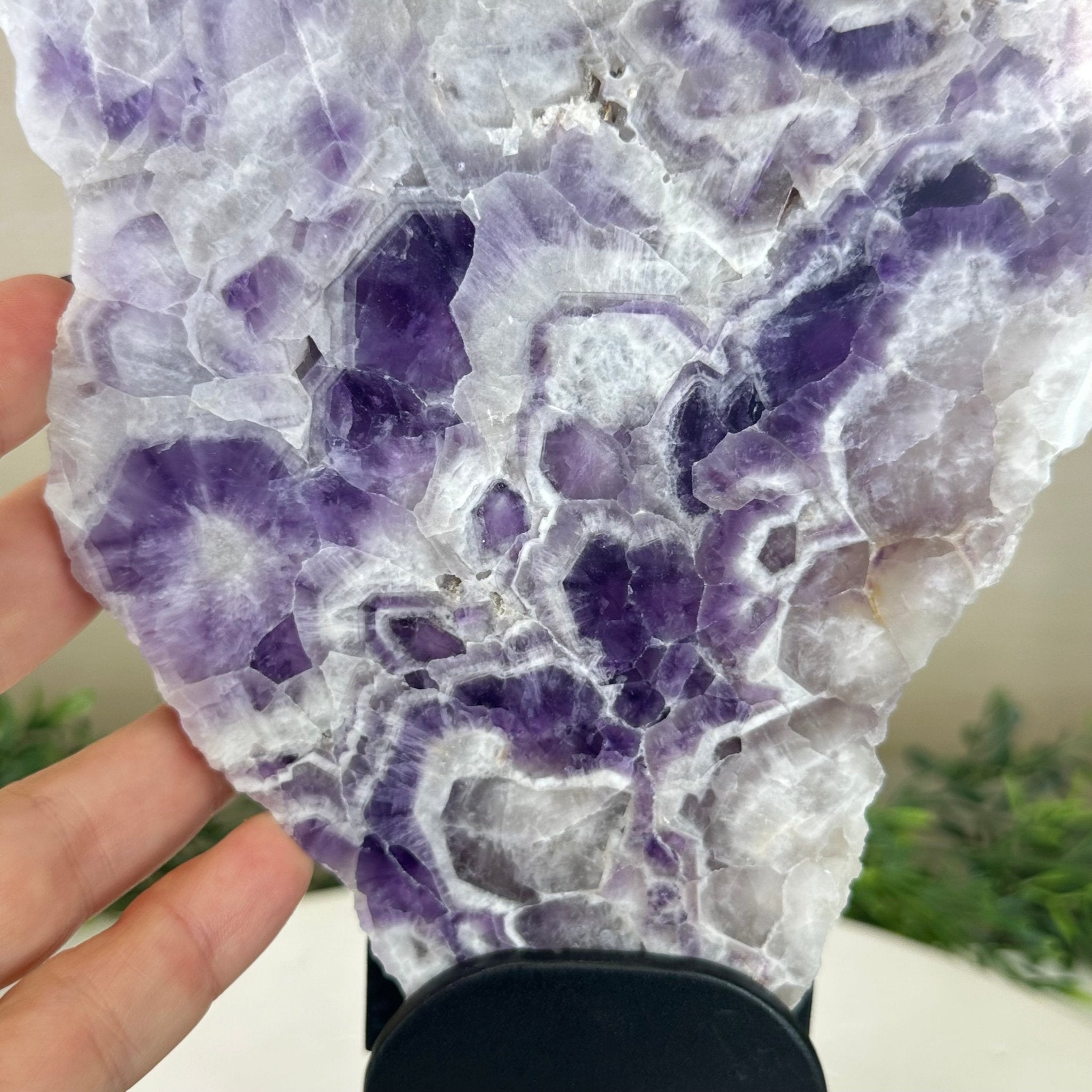 Chevron Amethyst Crystal Slice on a Stand, 4.1 lbs & 12.5" Tall #5621AC - 002 - Brazil GemsBrazil GemsChevron Amethyst Crystal Slice on a Stand, 4.1 lbs & 12.5" Tall #5621AC - 002Slices on Fixed Bases5621AC - 002