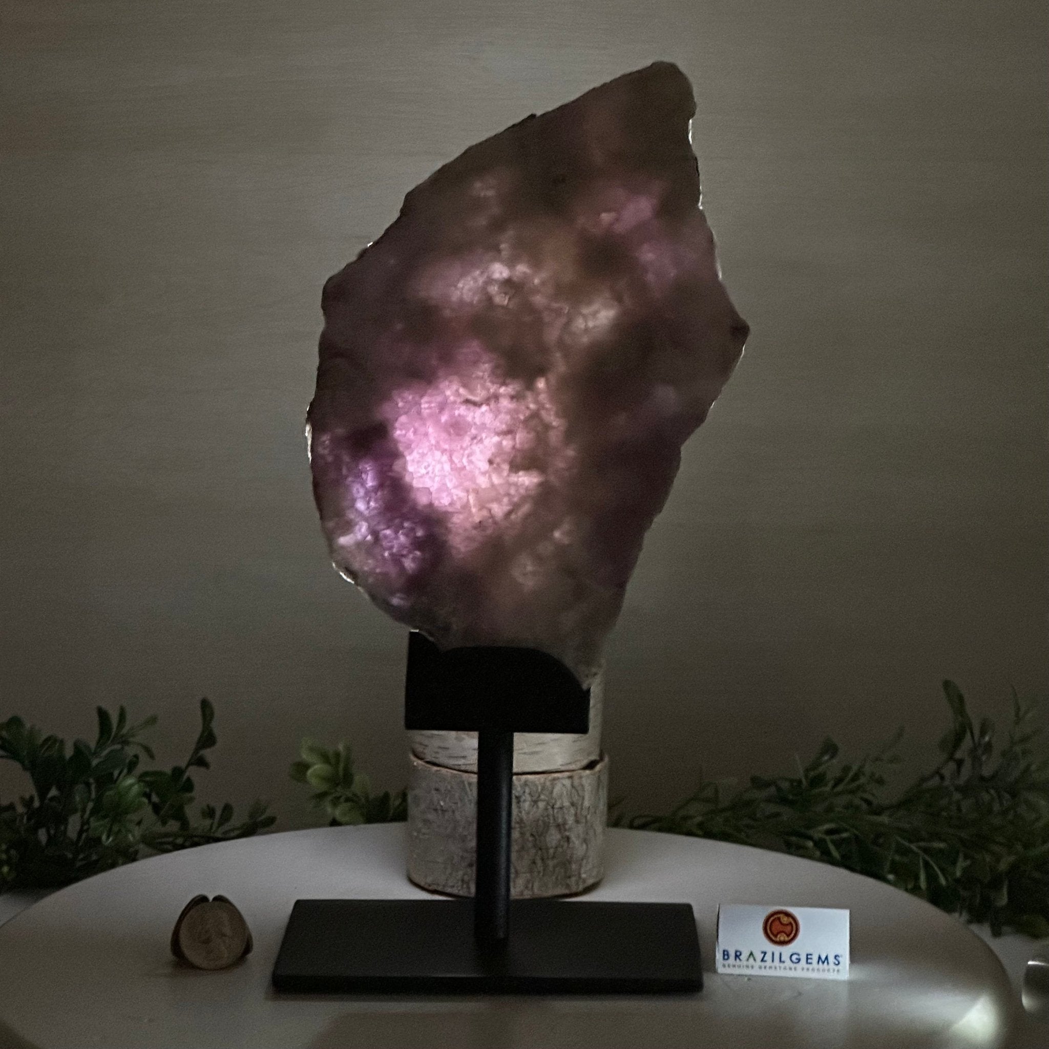 Chevron Amethyst Crystal Slice on a Stand, 4.1 lbs & 12.7" Tall #5621AC - 003 - Brazil GemsBrazil GemsChevron Amethyst Crystal Slice on a Stand, 4.1 lbs & 12.7" Tall #5621AC - 003Slices on Fixed Bases5621AC - 003