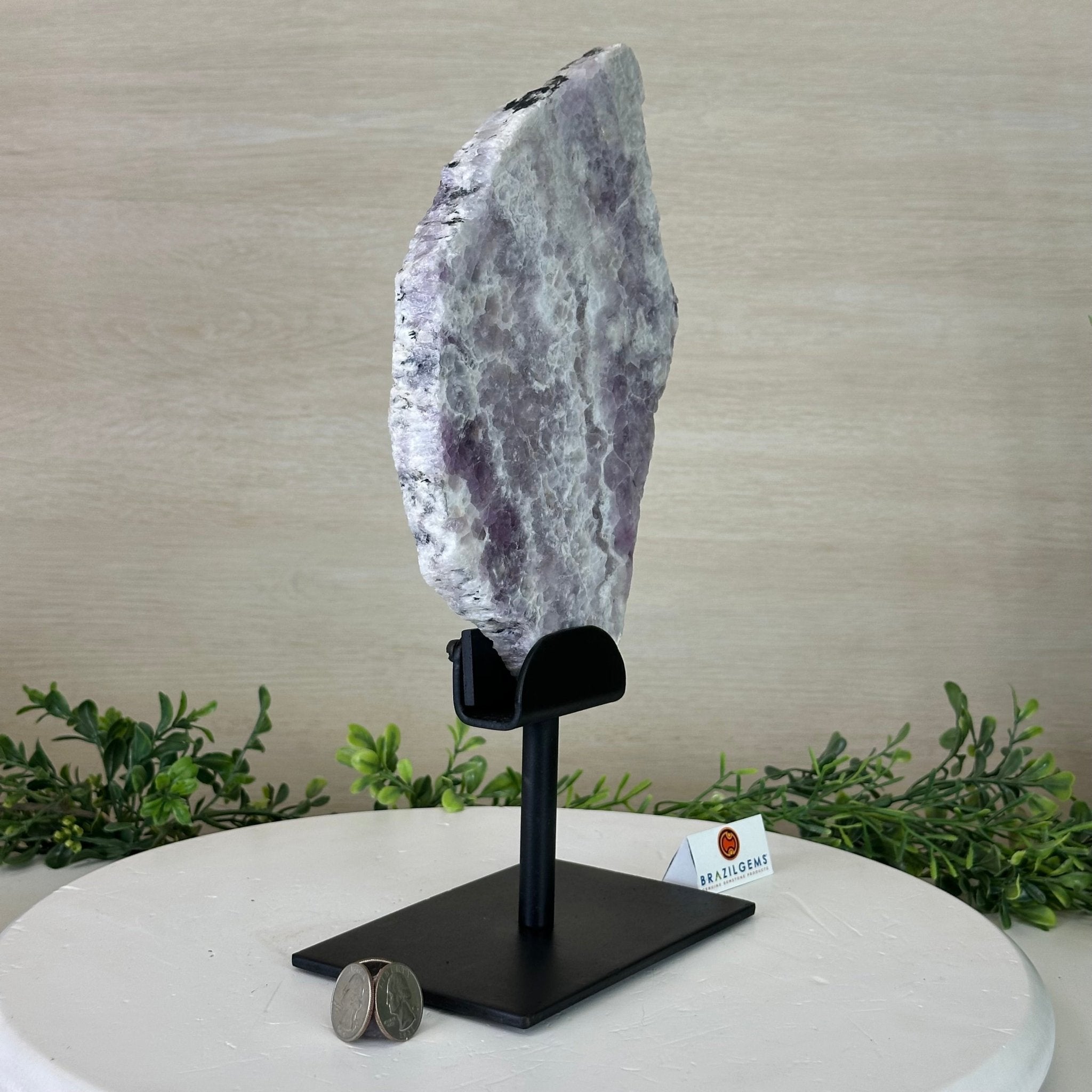 Chevron Amethyst Crystal Slice on a Stand, 4.1 lbs & 12.7" Tall #5621AC - 003 - Brazil GemsBrazil GemsChevron Amethyst Crystal Slice on a Stand, 4.1 lbs & 12.7" Tall #5621AC - 003Slices on Fixed Bases5621AC - 003