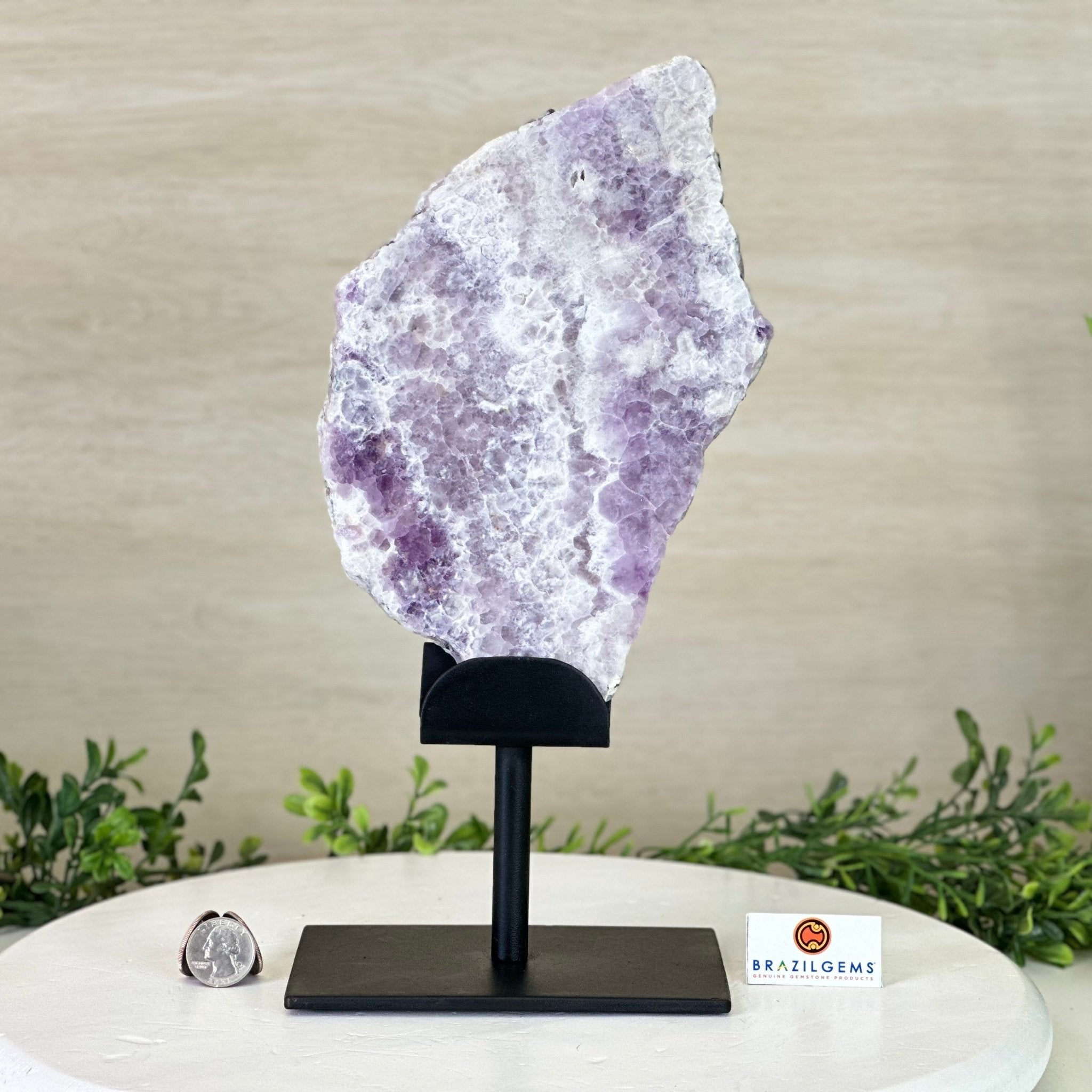 Chevron Amethyst Crystal Slice on a Stand, 4.1 lbs & 12.7" Tall #5621AC - 003 - Brazil GemsBrazil GemsChevron Amethyst Crystal Slice on a Stand, 4.1 lbs & 12.7" Tall #5621AC - 003Slices on Fixed Bases5621AC - 003