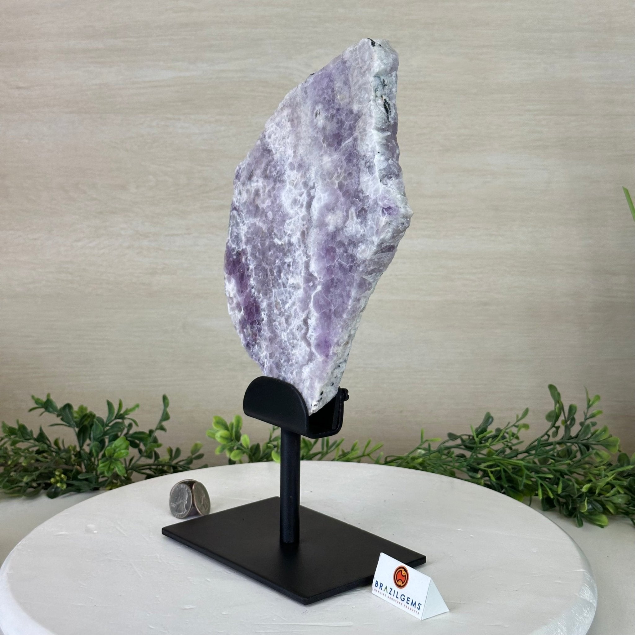 Chevron Amethyst Crystal Slice on a Stand, 4.1 lbs & 12.7" Tall #5621AC - 003 - Brazil GemsBrazil GemsChevron Amethyst Crystal Slice on a Stand, 4.1 lbs & 12.7" Tall #5621AC - 003Slices on Fixed Bases5621AC - 003