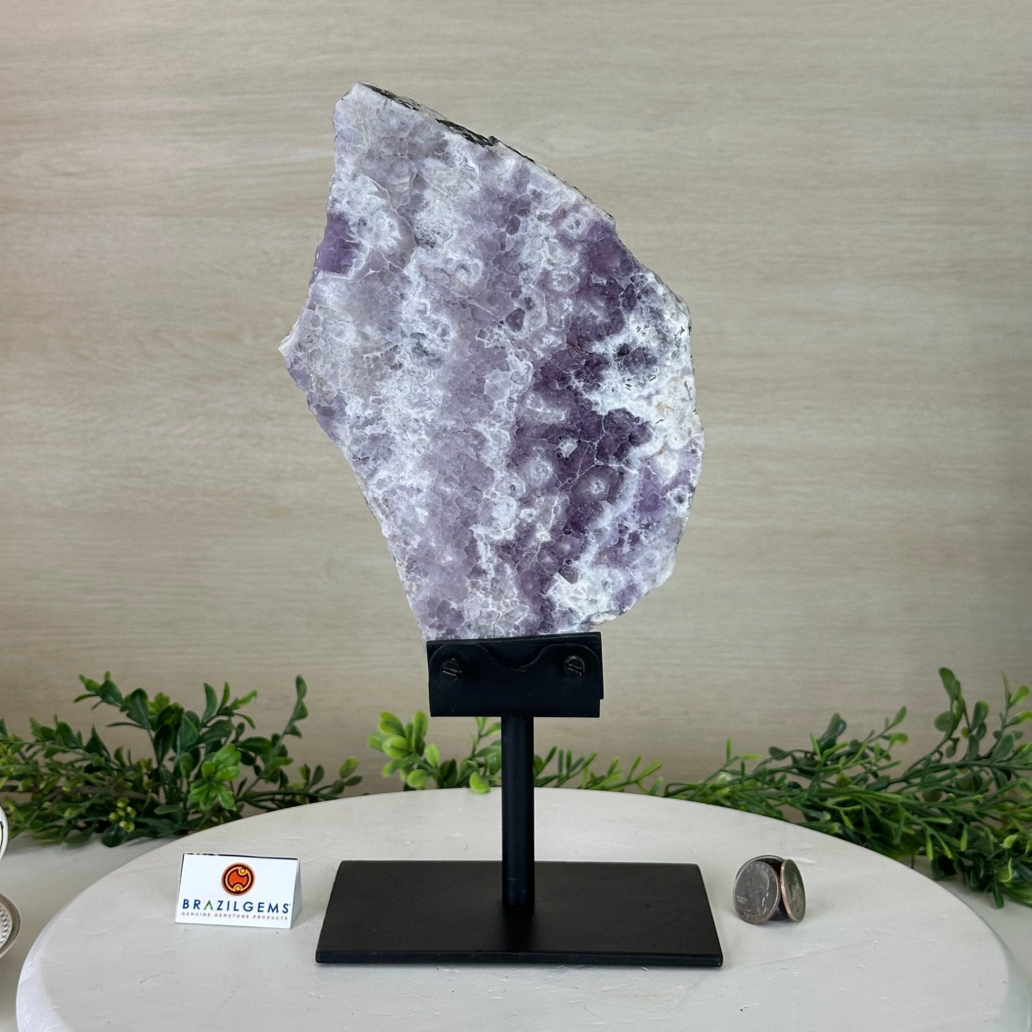 Chevron Amethyst Crystal Slice on a Stand, 4.1 lbs & 12.7" Tall #5621AC - 003 - Brazil GemsBrazil GemsChevron Amethyst Crystal Slice on a Stand, 4.1 lbs & 12.7" Tall #5621AC - 003Slices on Fixed Bases5621AC - 003