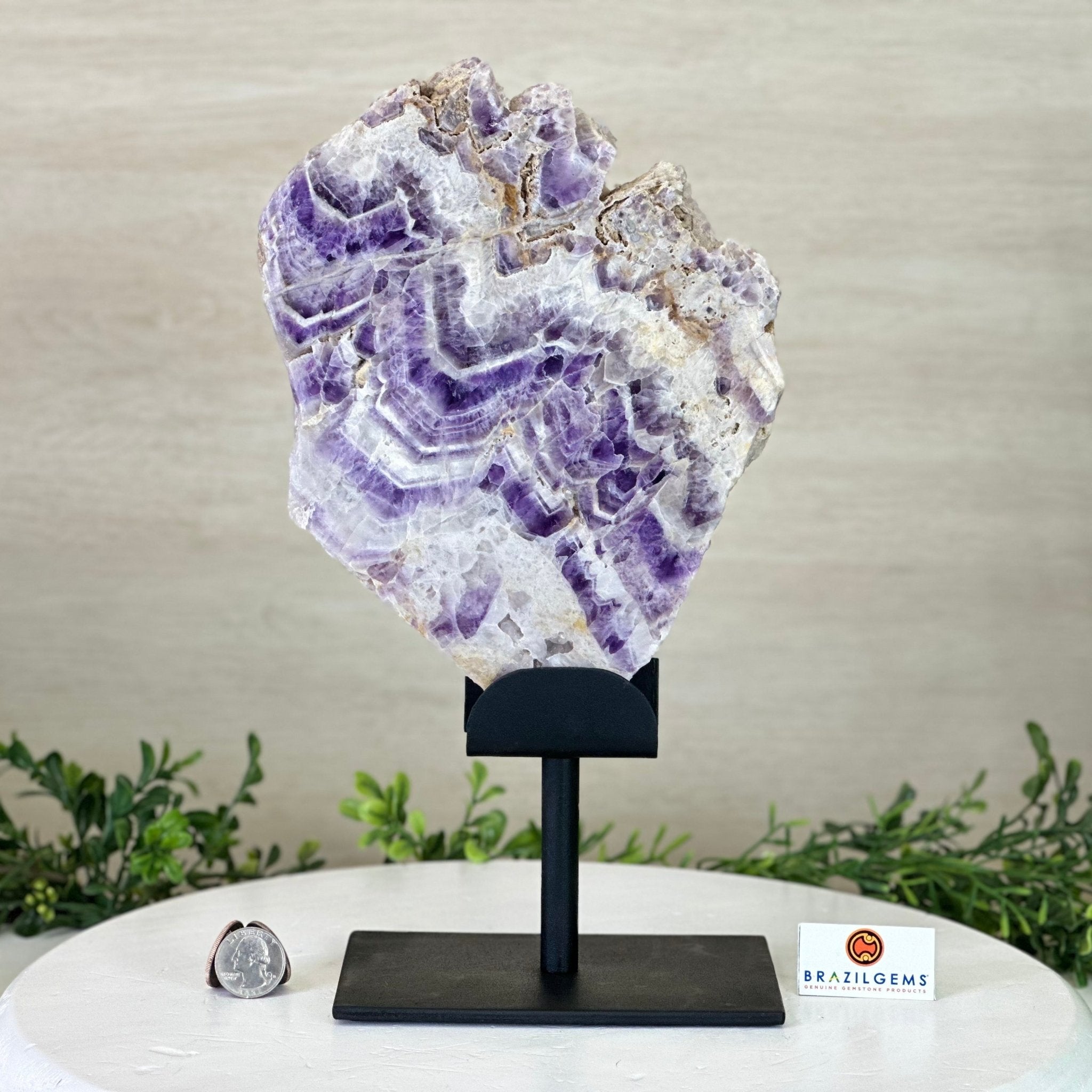 Chevron Amethyst Crystal Slice on a Stand, 4.2 lbs & 12.7" Tall #5621AC - 005 - Brazil GemsBrazil GemsChevron Amethyst Crystal Slice on a Stand, 4.2 lbs & 12.7" Tall #5621AC - 005Slices on Fixed Bases5621AC - 005