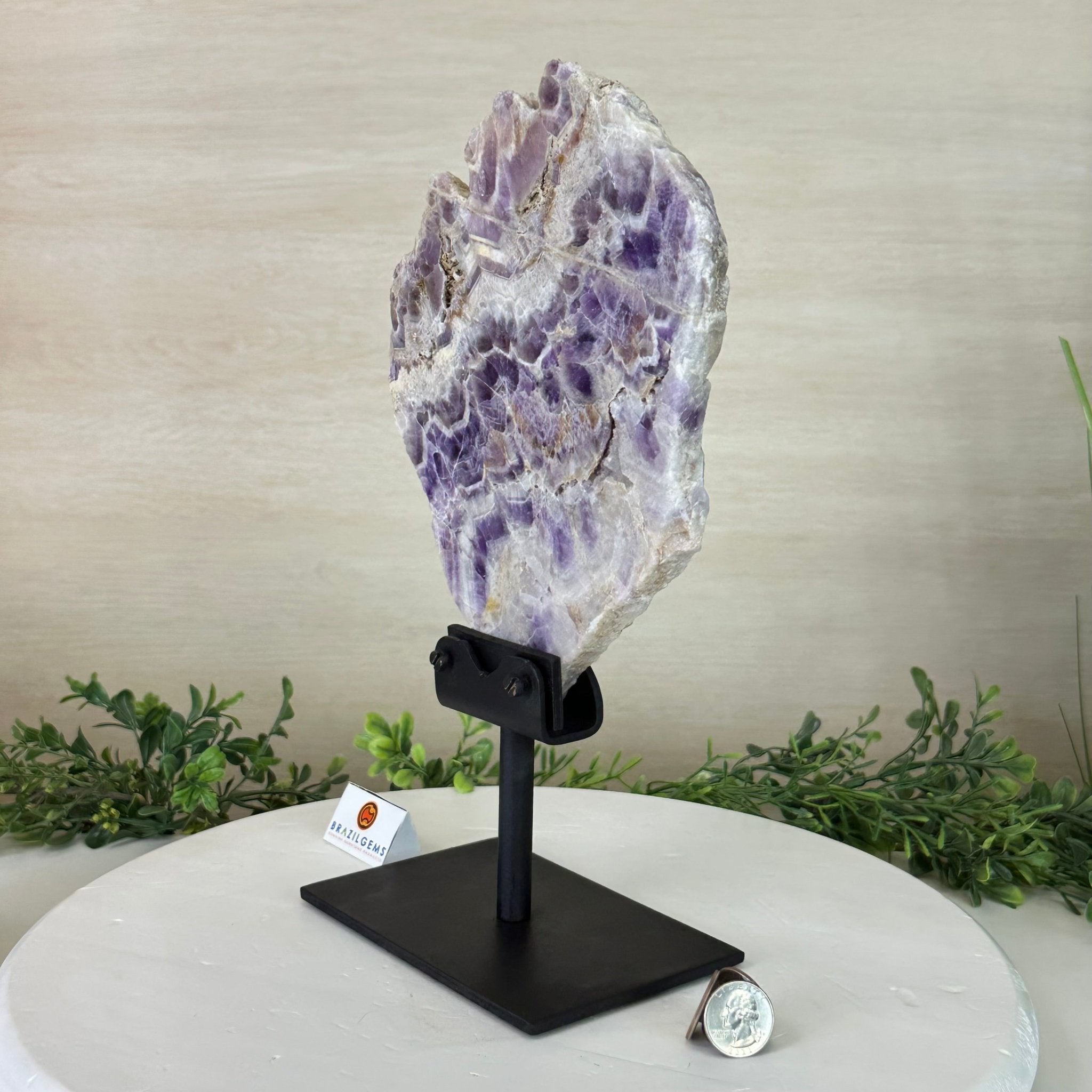 Chevron Amethyst Crystal Slice on a Stand, 4.2 lbs & 12.7" Tall #5621AC - 005 - Brazil GemsBrazil GemsChevron Amethyst Crystal Slice on a Stand, 4.2 lbs & 12.7" Tall #5621AC - 005Slices on Fixed Bases5621AC - 005