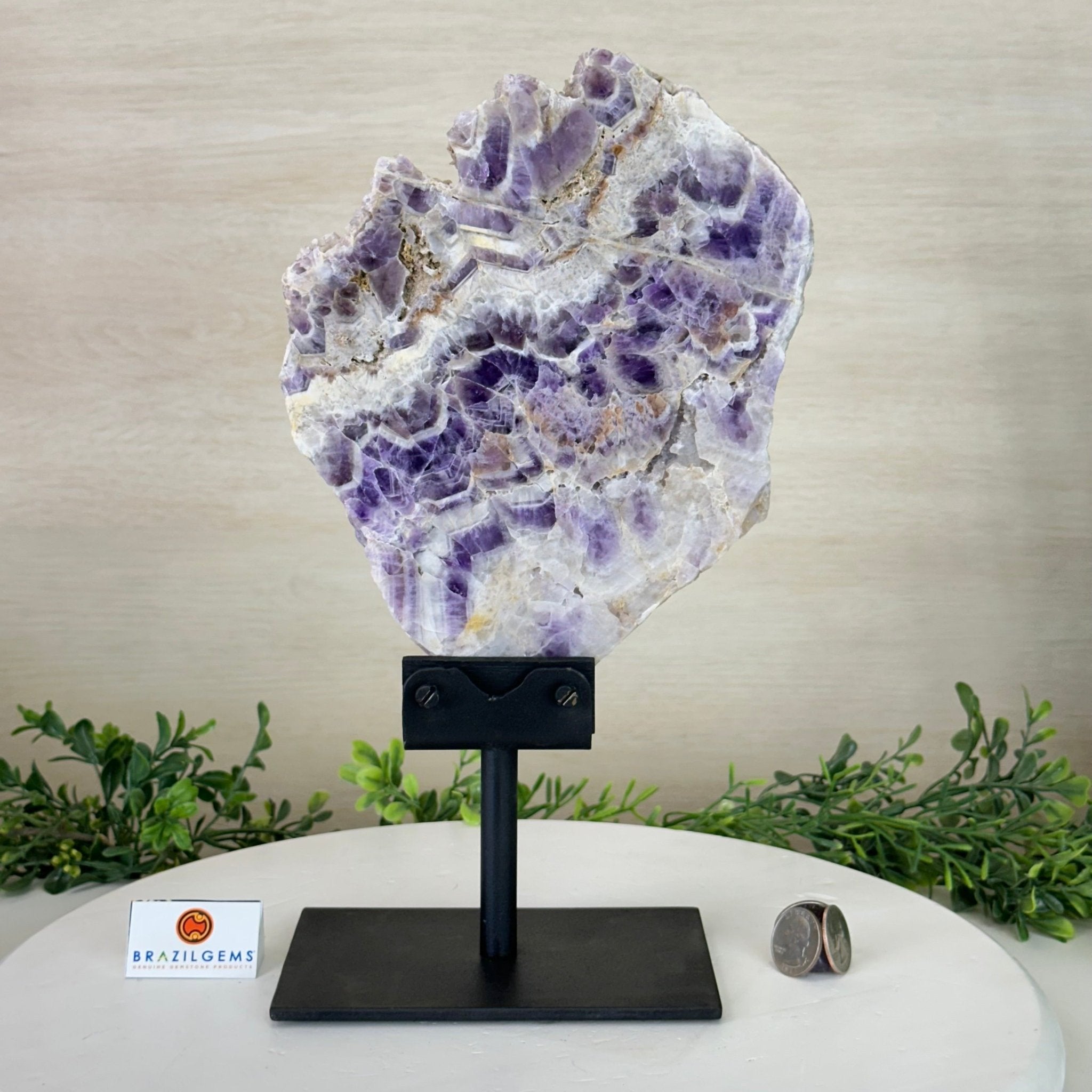 Chevron Amethyst Crystal Slice on a Stand, 4.2 lbs & 12.7" Tall #5621AC - 005 - Brazil GemsBrazil GemsChevron Amethyst Crystal Slice on a Stand, 4.2 lbs & 12.7" Tall #5621AC - 005Slices on Fixed Bases5621AC - 005