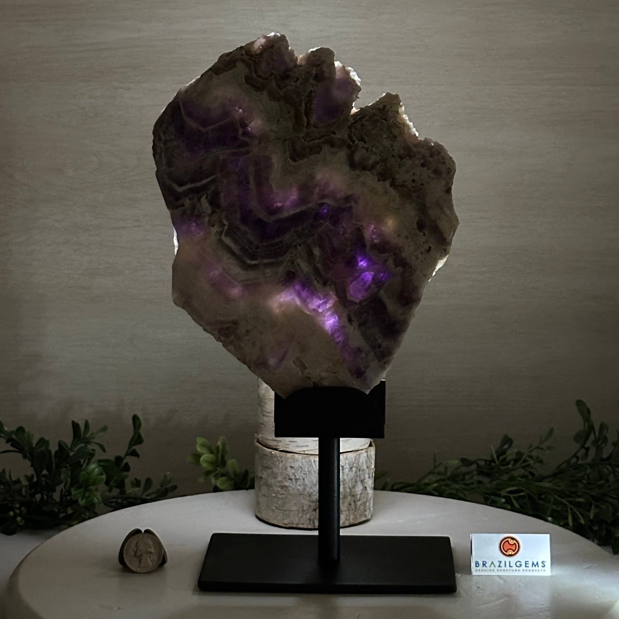 Chevron Amethyst Crystal Slice on a Stand, 4.2 lbs & 12.7" Tall #5621AC - 005 - Brazil GemsBrazil GemsChevron Amethyst Crystal Slice on a Stand, 4.2 lbs & 12.7" Tall #5621AC - 005Slices on Fixed Bases5621AC - 005