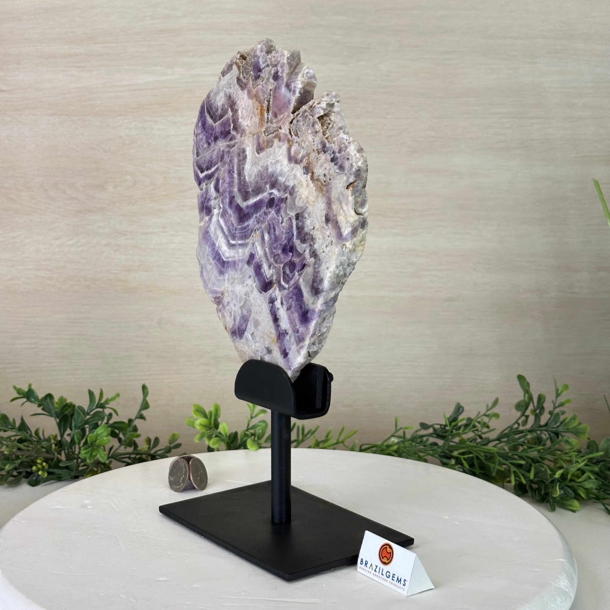 Chevron Amethyst Crystal Slice on a Stand, 4.2 lbs & 12.7" Tall #5621AC - 005 - Brazil GemsBrazil GemsChevron Amethyst Crystal Slice on a Stand, 4.2 lbs & 12.7" Tall #5621AC - 005Slices on Fixed Bases5621AC - 005