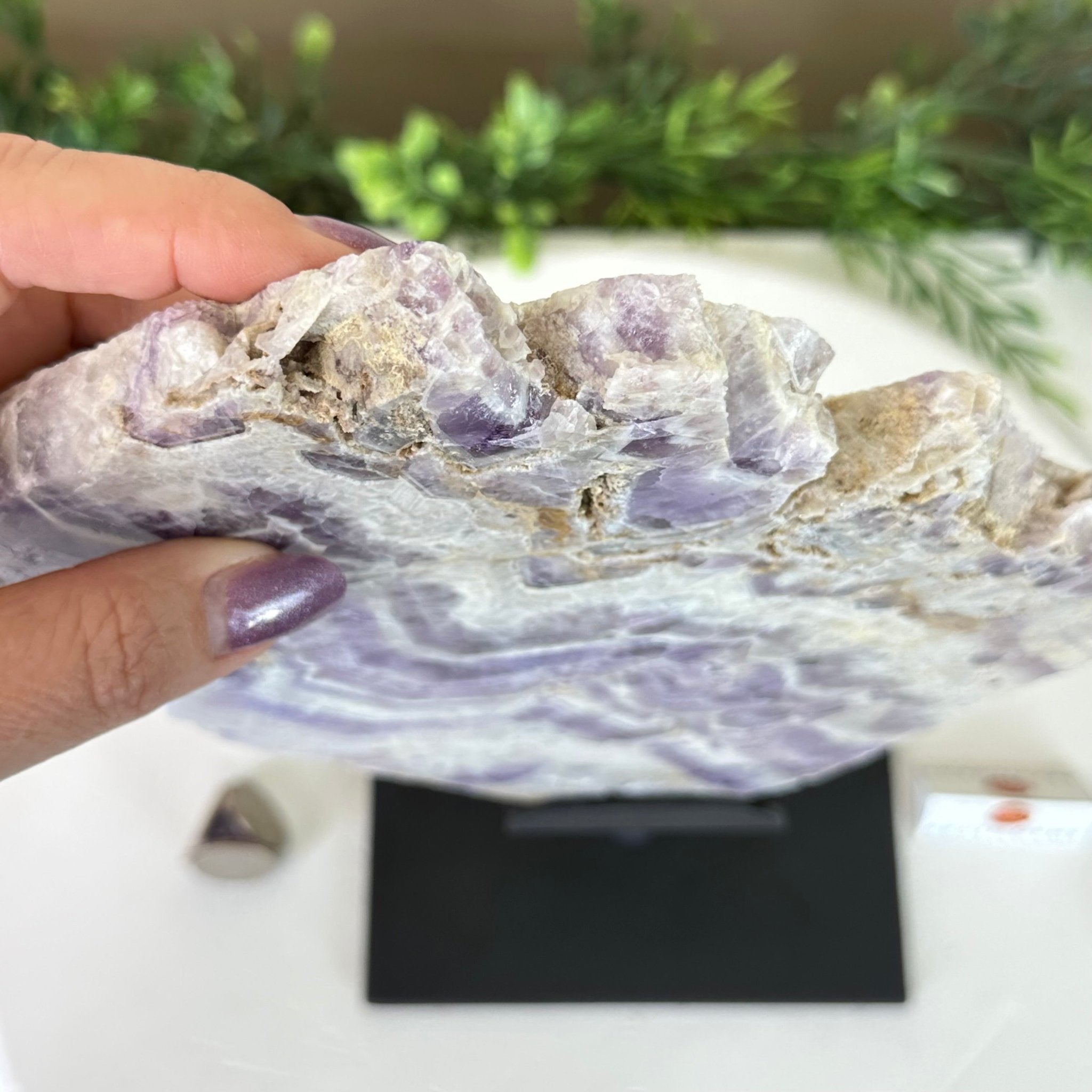 Chevron Amethyst Crystal Slice on a Stand, 4.2 lbs & 12.7" Tall #5621AC - 005 - Brazil GemsBrazil GemsChevron Amethyst Crystal Slice on a Stand, 4.2 lbs & 12.7" Tall #5621AC - 005Slices on Fixed Bases5621AC - 005