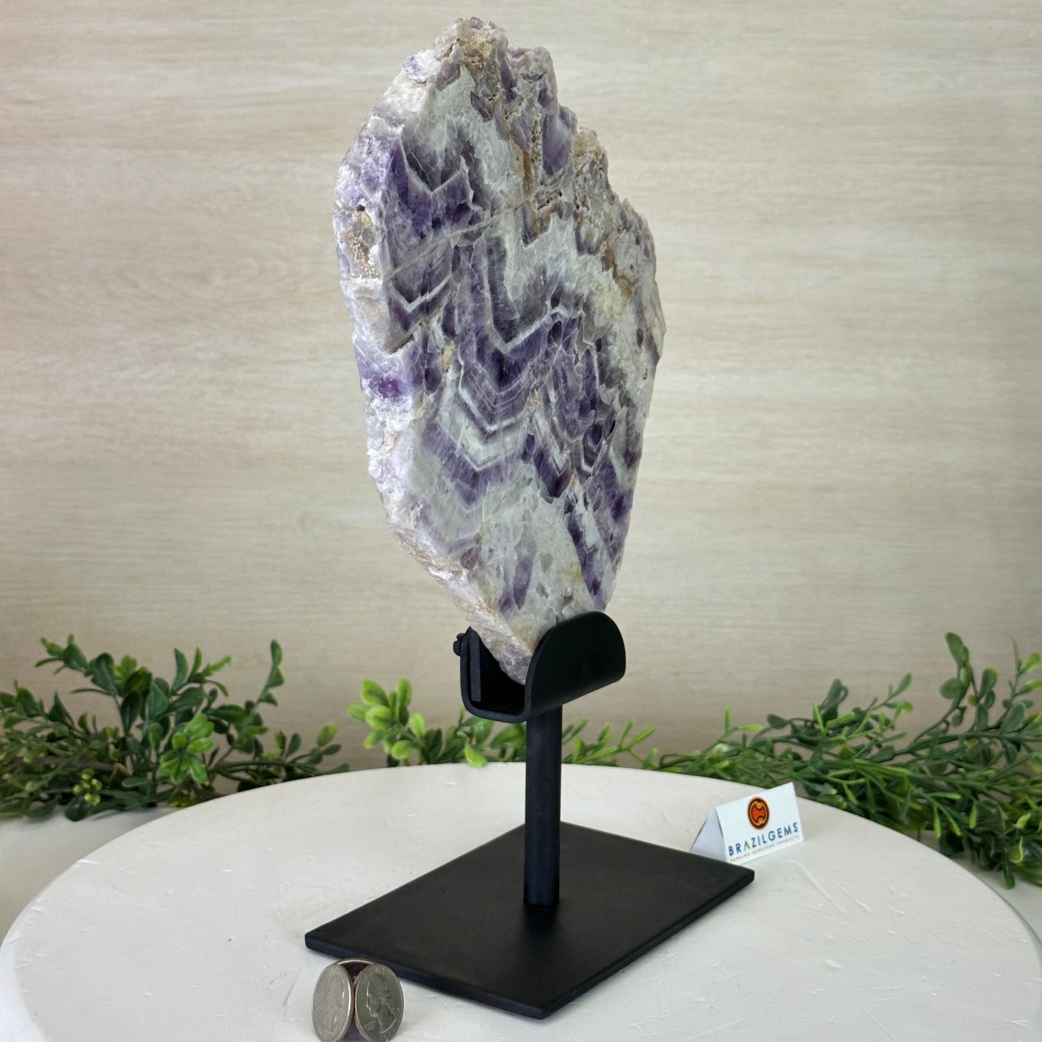 Chevron Amethyst Crystal Slice on a Stand, 4.2 lbs & 12.7" Tall #5621AC - 005 - Brazil GemsBrazil GemsChevron Amethyst Crystal Slice on a Stand, 4.2 lbs & 12.7" Tall #5621AC - 005Slices on Fixed Bases5621AC - 005