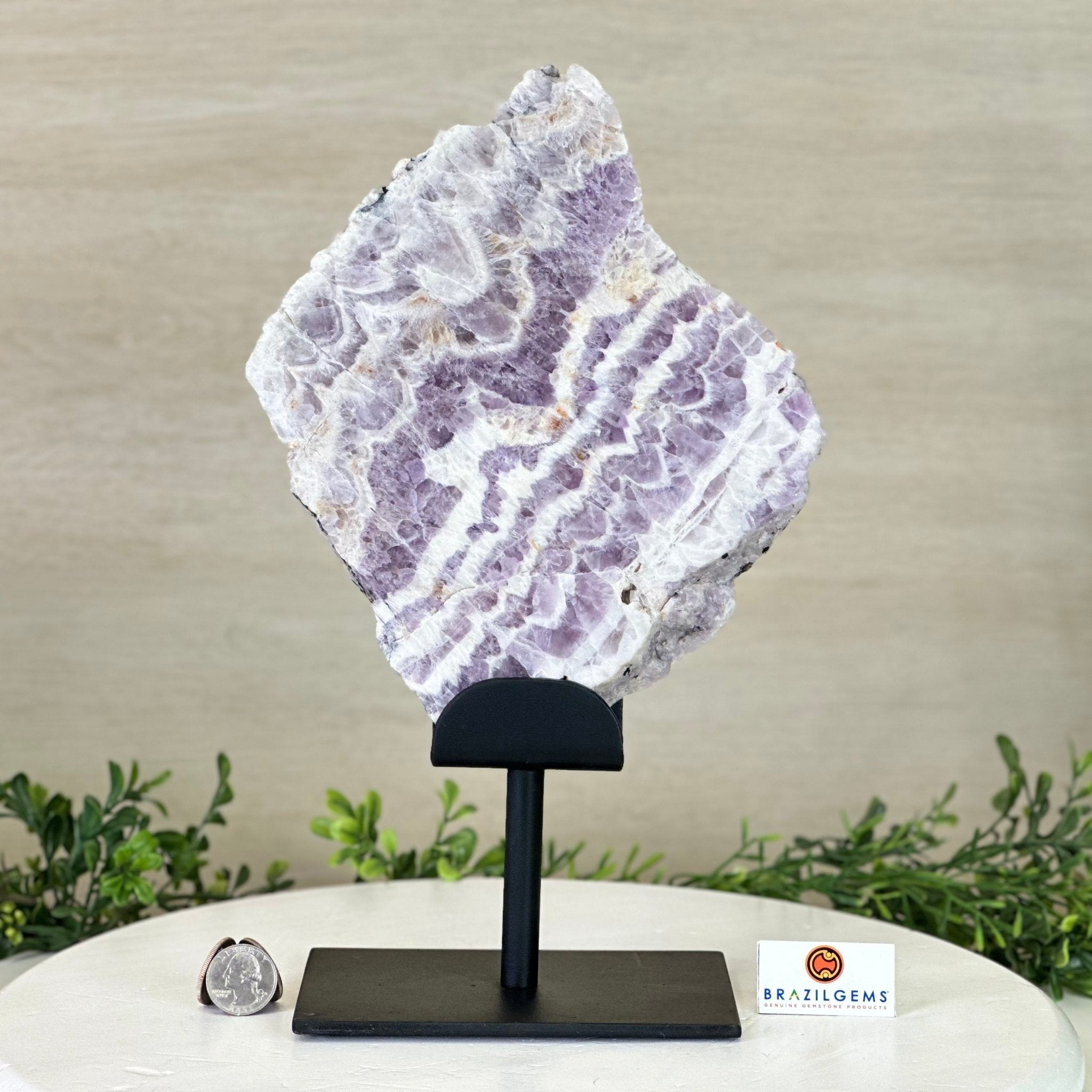 Chevron Amethyst Crystal Slice on a Stand, 4.2 lbs & 12.8" Tall #5621AC - 004 - Brazil GemsBrazil GemsChevron Amethyst Crystal Slice on a Stand, 4.2 lbs & 12.8" Tall #5621AC - 004Slices on Fixed Bases5621AC - 004