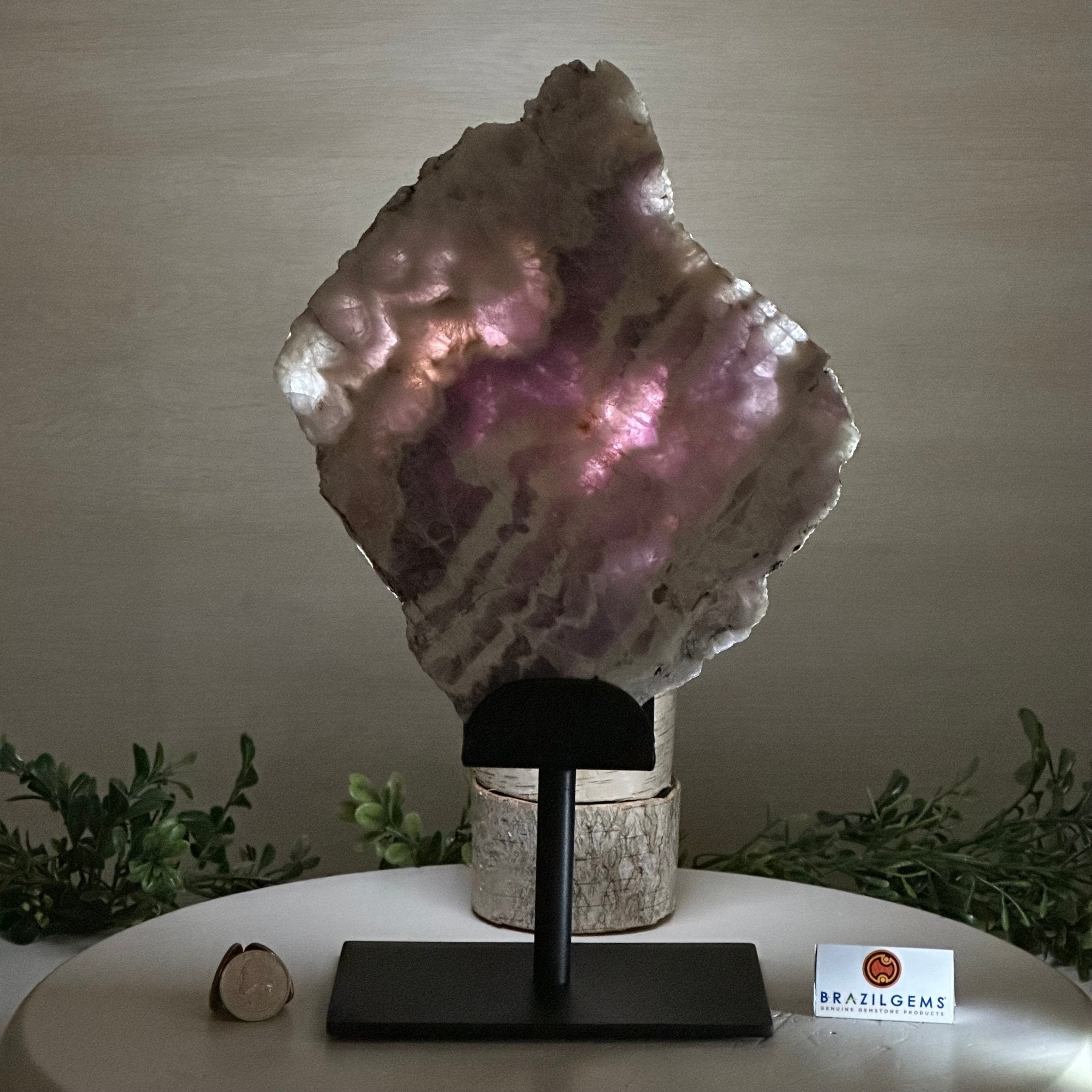 Chevron Amethyst Crystal Slice on a Stand, 4.2 lbs & 12.8" Tall #5621AC - 004 - Brazil GemsBrazil GemsChevron Amethyst Crystal Slice on a Stand, 4.2 lbs & 12.8" Tall #5621AC - 004Slices on Fixed Bases5621AC - 004