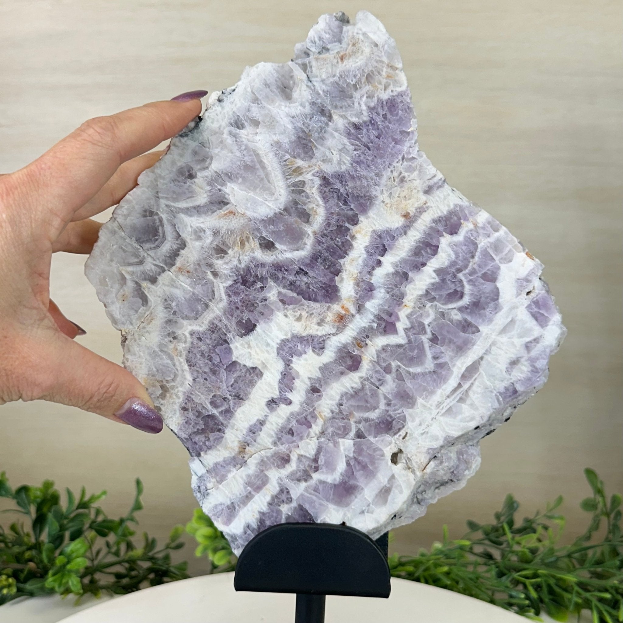 Chevron Amethyst Crystal Slice on a Stand, 4.2 lbs & 12.8" Tall #5621AC - 004 - Brazil GemsBrazil GemsChevron Amethyst Crystal Slice on a Stand, 4.2 lbs & 12.8" Tall #5621AC - 004Slices on Fixed Bases5621AC - 004