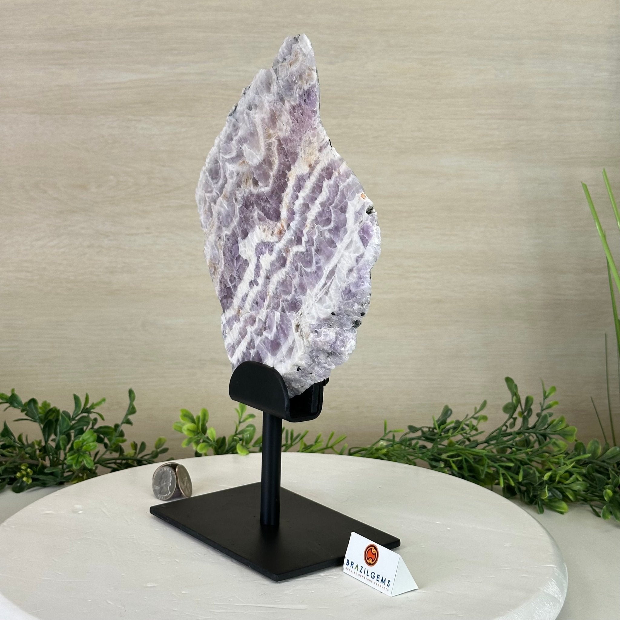 Chevron Amethyst Crystal Slice on a Stand, 4.2 lbs & 12.8" Tall #5621AC - 004 - Brazil GemsBrazil GemsChevron Amethyst Crystal Slice on a Stand, 4.2 lbs & 12.8" Tall #5621AC - 004Slices on Fixed Bases5621AC - 004