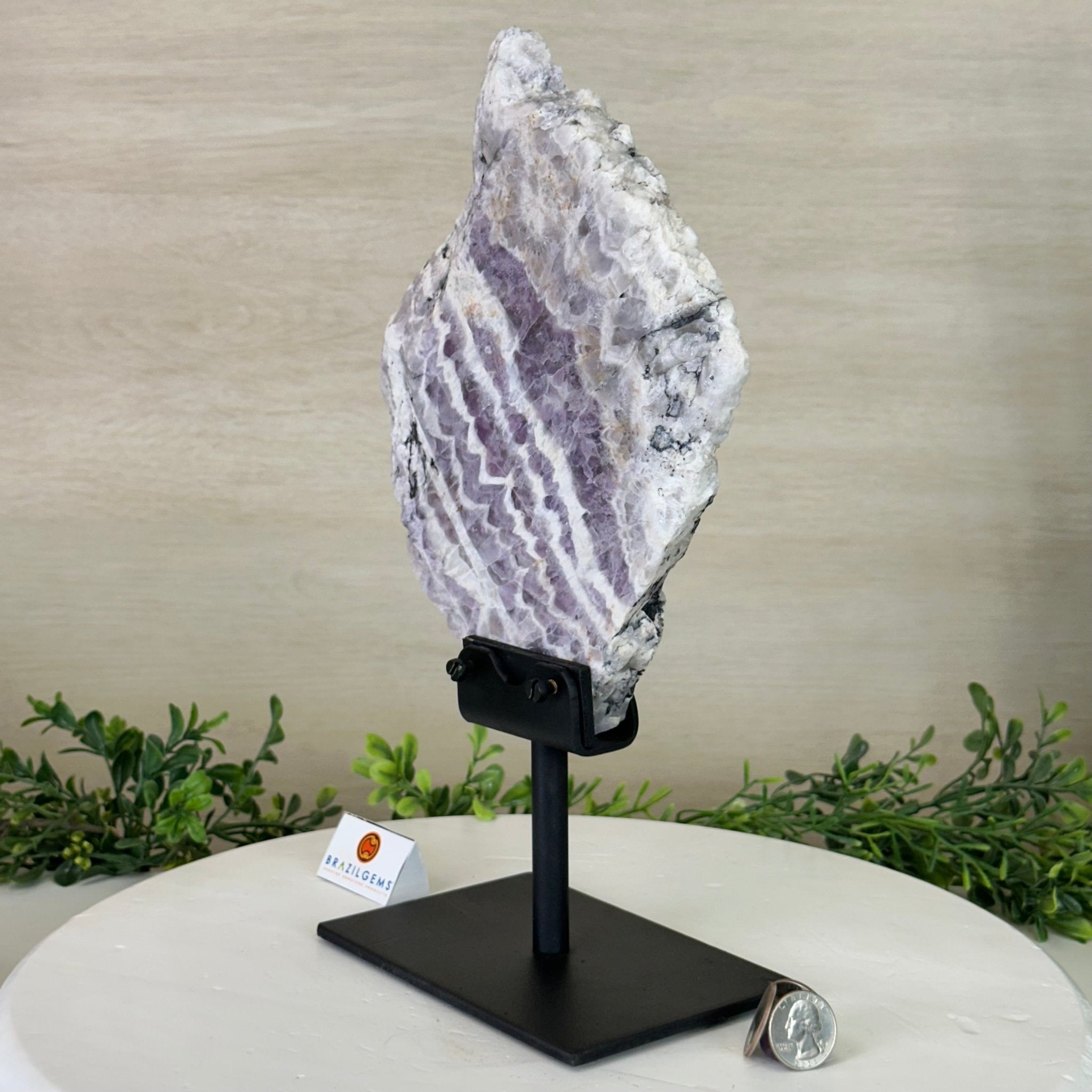 Chevron Amethyst Crystal Slice on a Stand, 4.2 lbs & 12.8" Tall #5621AC - 004 - Brazil GemsBrazil GemsChevron Amethyst Crystal Slice on a Stand, 4.2 lbs & 12.8" Tall #5621AC - 004Slices on Fixed Bases5621AC - 004