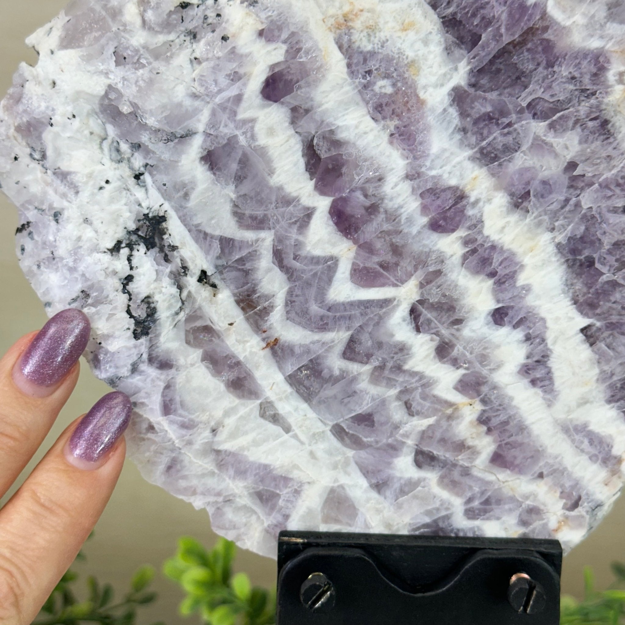 Chevron Amethyst Crystal Slice on a Stand, 4.2 lbs & 12.8" Tall #5621AC - 004 - Brazil GemsBrazil GemsChevron Amethyst Crystal Slice on a Stand, 4.2 lbs & 12.8" Tall #5621AC - 004Slices on Fixed Bases5621AC - 004