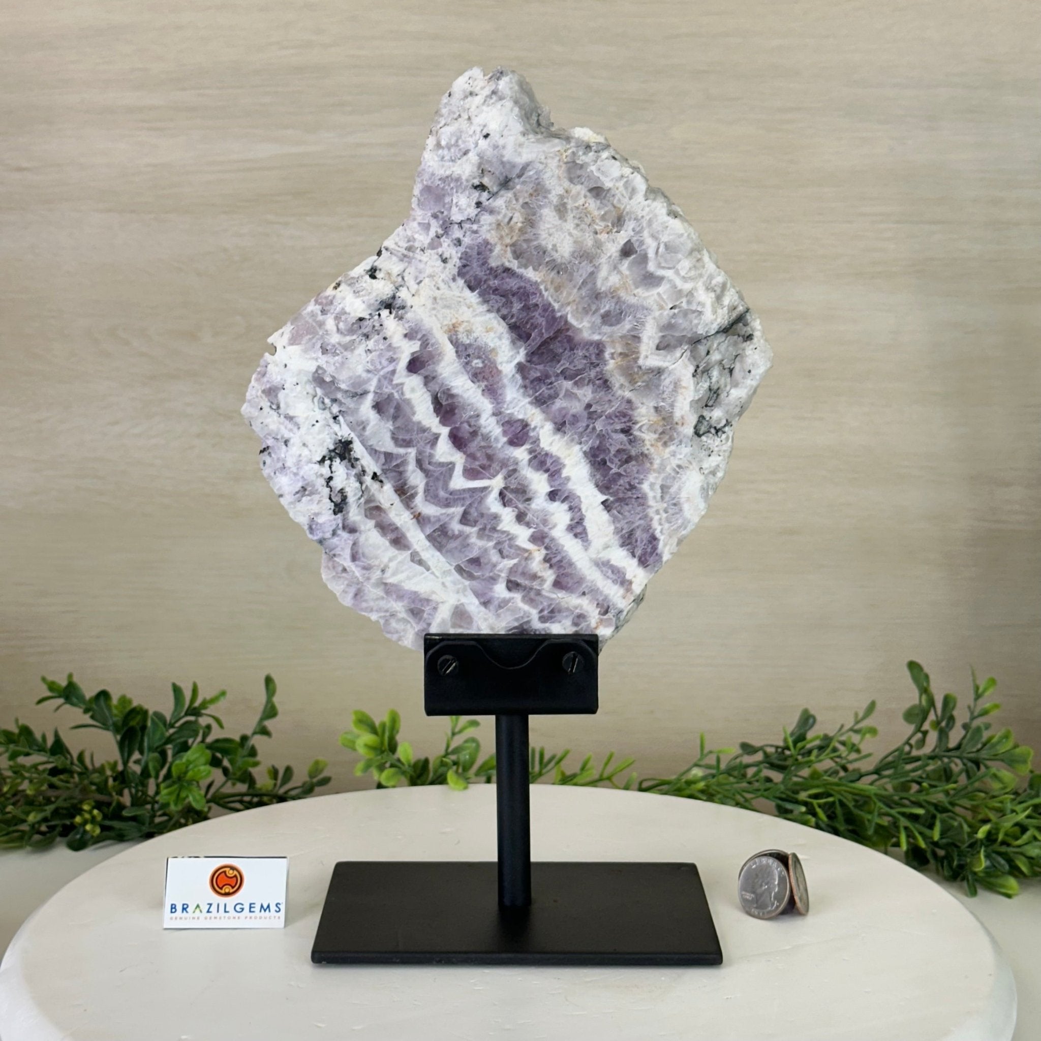 Chevron Amethyst Crystal Slice on a Stand, 4.2 lbs & 12.8" Tall #5621AC - 004 - Brazil GemsBrazil GemsChevron Amethyst Crystal Slice on a Stand, 4.2 lbs & 12.8" Tall #5621AC - 004Slices on Fixed Bases5621AC - 004