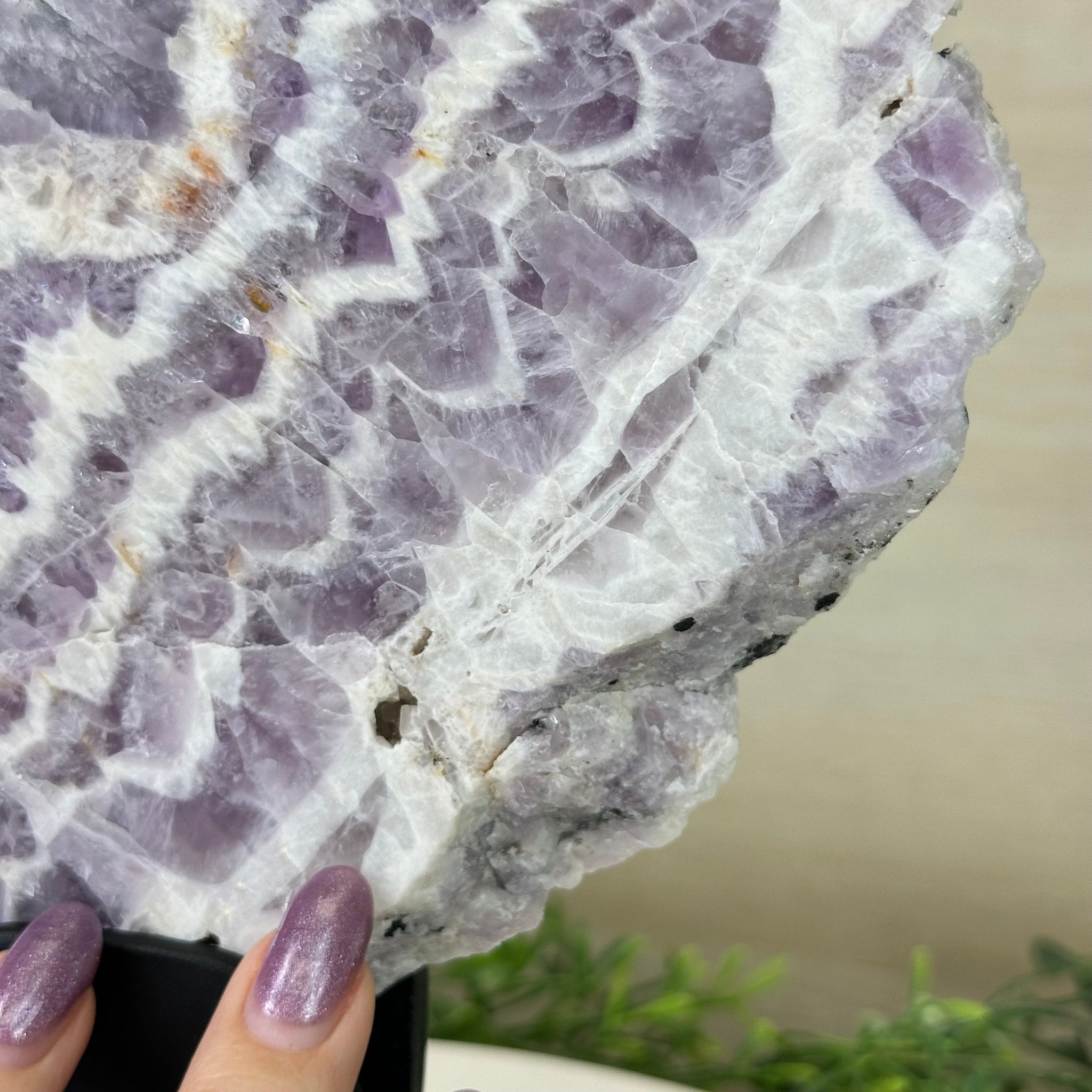 Chevron Amethyst Crystal Slice on a Stand, 4.2 lbs & 12.8" Tall #5621AC - 004 - Brazil GemsBrazil GemsChevron Amethyst Crystal Slice on a Stand, 4.2 lbs & 12.8" Tall #5621AC - 004Slices on Fixed Bases5621AC - 004