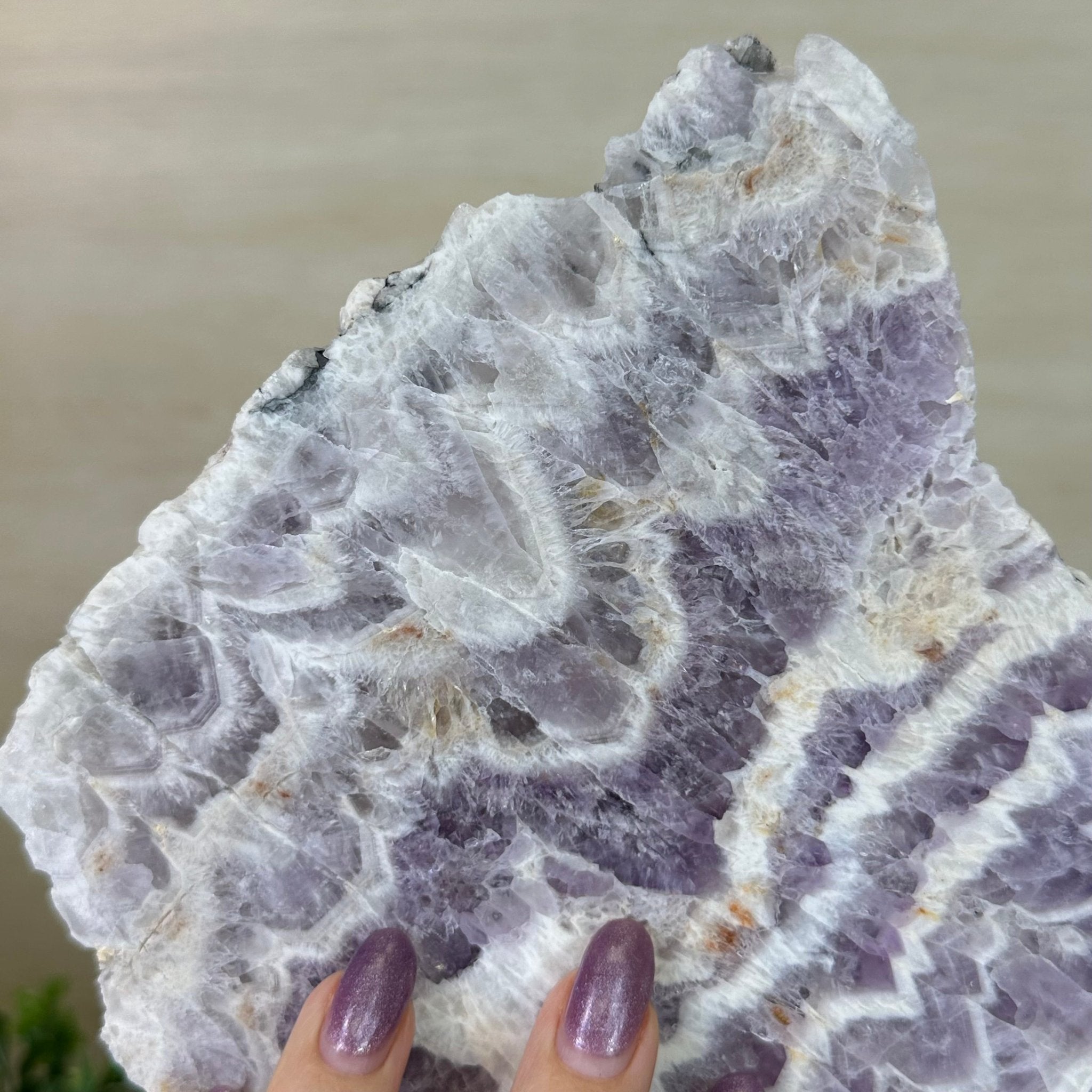 Chevron Amethyst Crystal Slice on a Stand, 4.2 lbs & 12.8" Tall #5621AC - 004 - Brazil GemsBrazil GemsChevron Amethyst Crystal Slice on a Stand, 4.2 lbs & 12.8" Tall #5621AC - 004Slices on Fixed Bases5621AC - 004