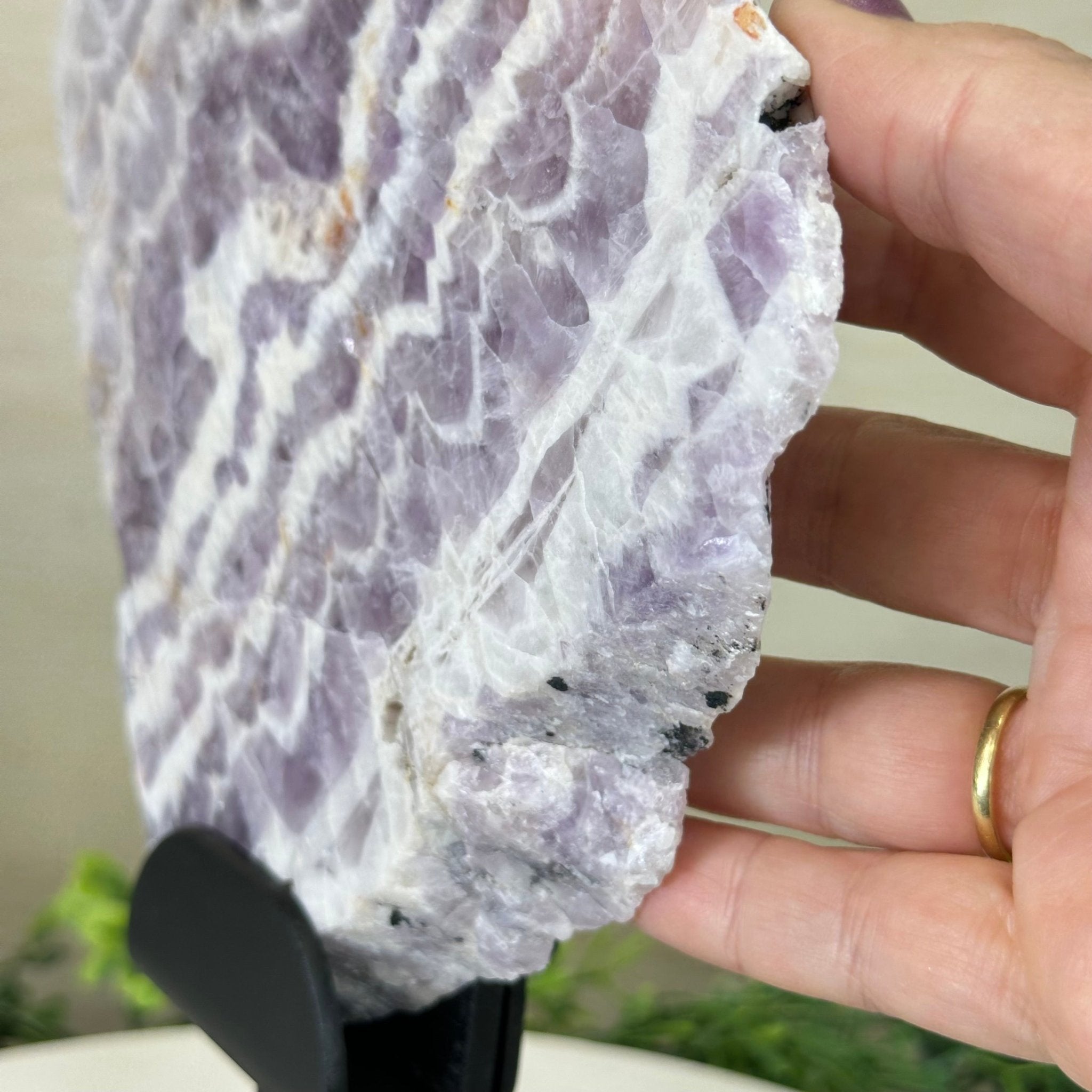 Chevron Amethyst Crystal Slice on a Stand, 4.2 lbs & 12.8" Tall #5621AC - 004 - Brazil GemsBrazil GemsChevron Amethyst Crystal Slice on a Stand, 4.2 lbs & 12.8" Tall #5621AC - 004Slices on Fixed Bases5621AC - 004